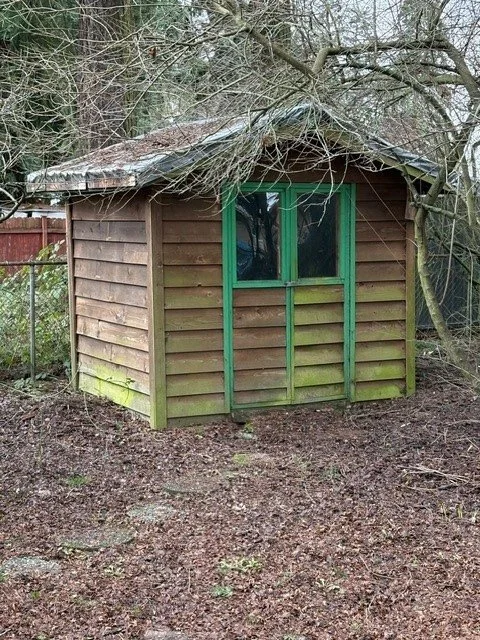 Shed covered in alge before Softwash
