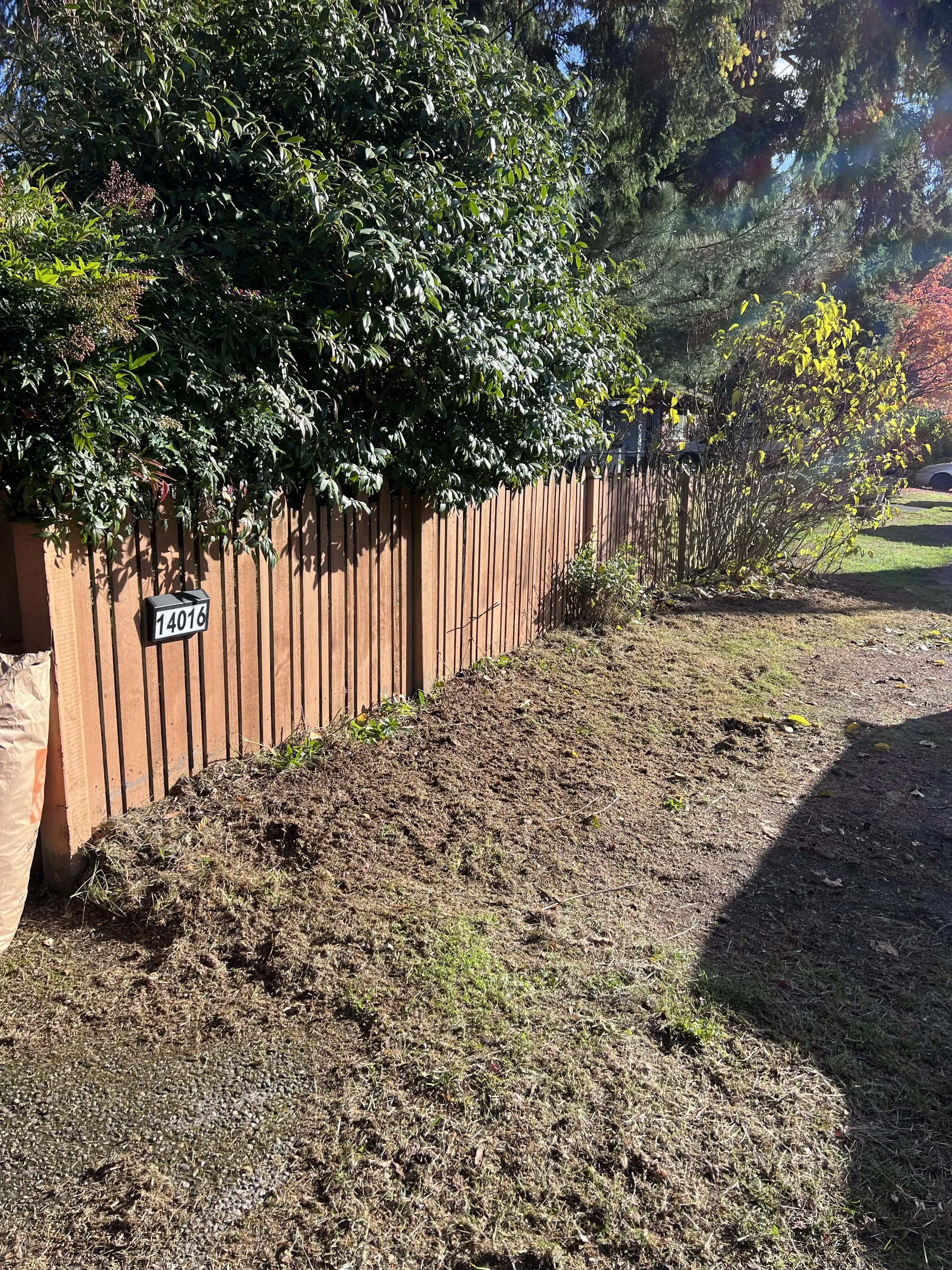 Front of property after cleanup