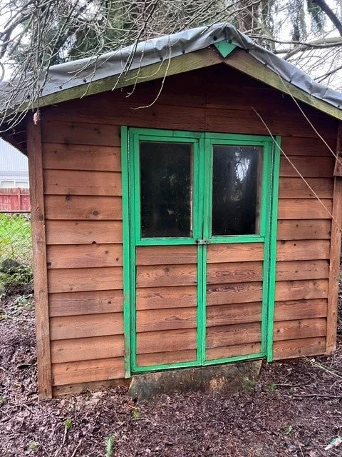 Shed after it has been Softwashed