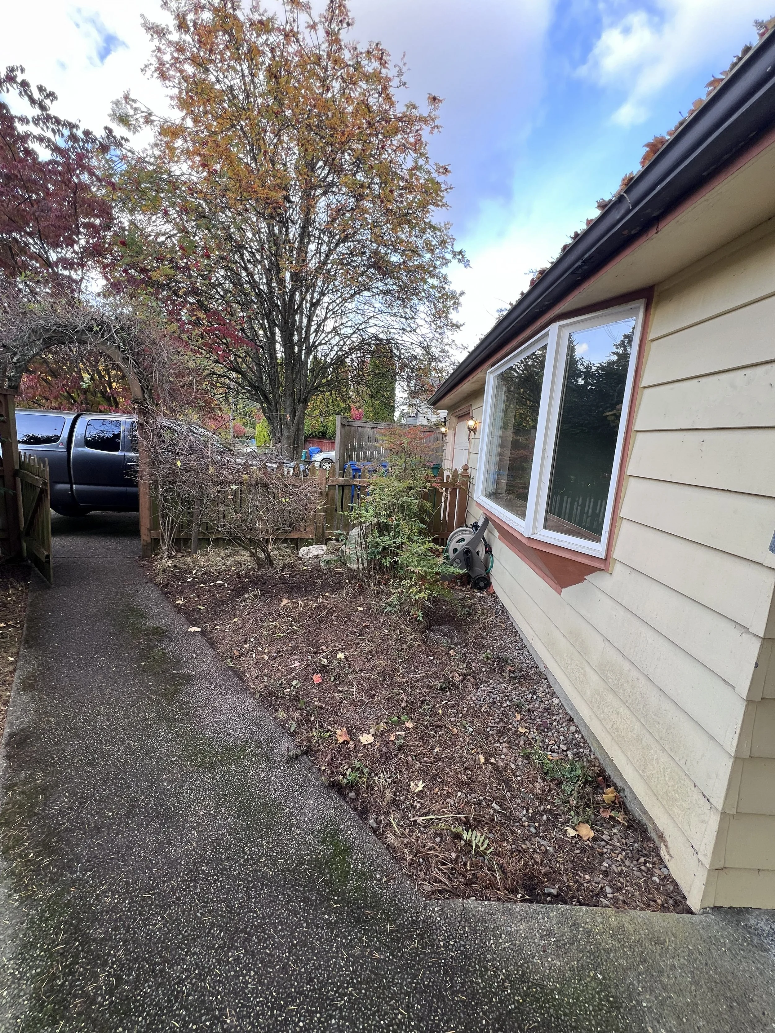 Backyard after cleanup