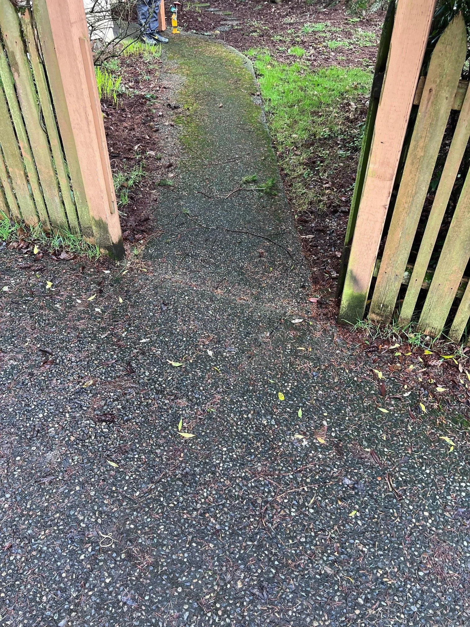 Path before Pressure Washing
