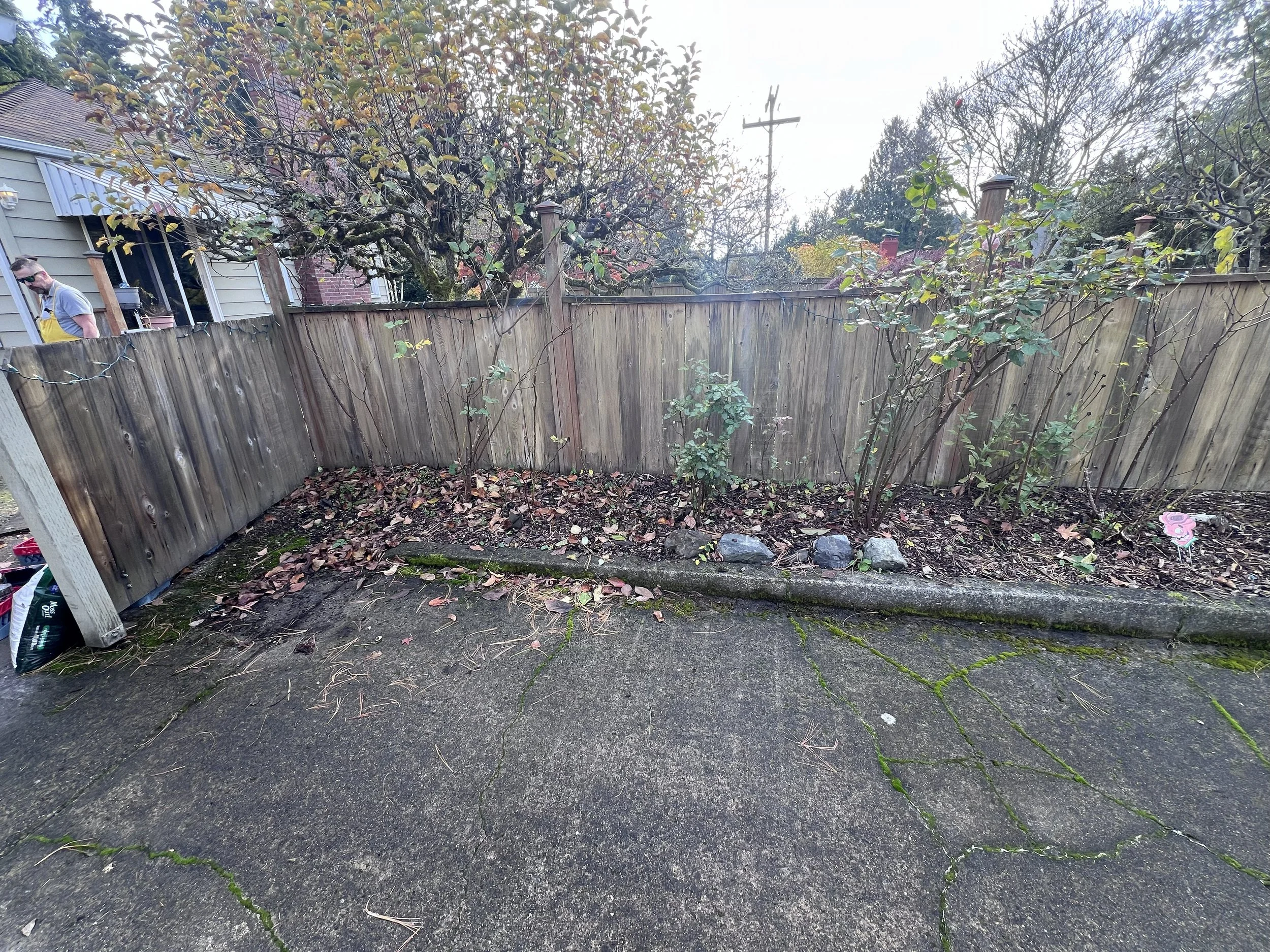 Flower bed before mulching