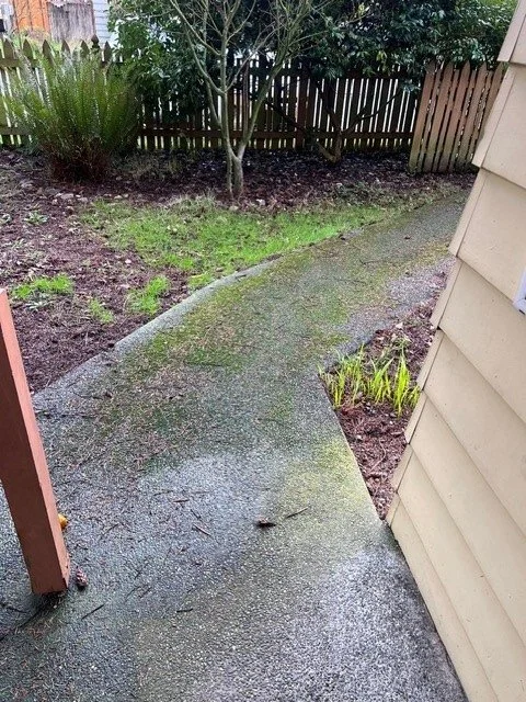 Path before Pressure Washing