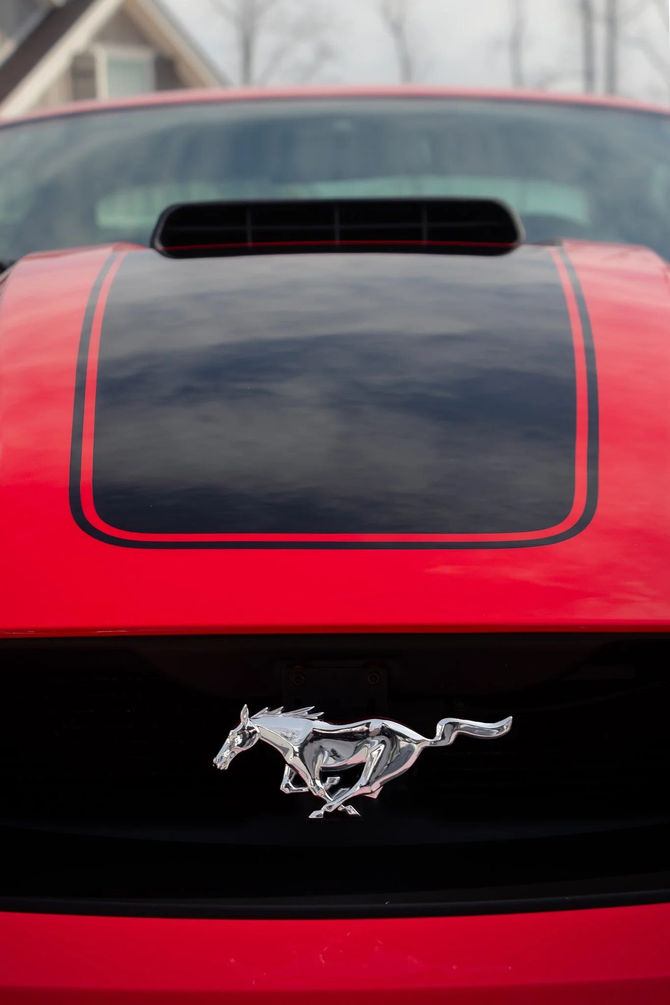 Mach 1-11.jpg