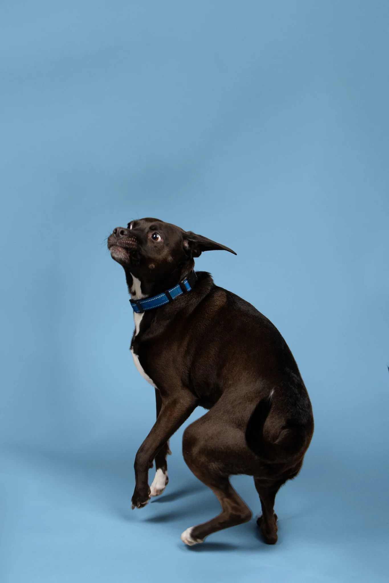 Mac UNC-1.jpg