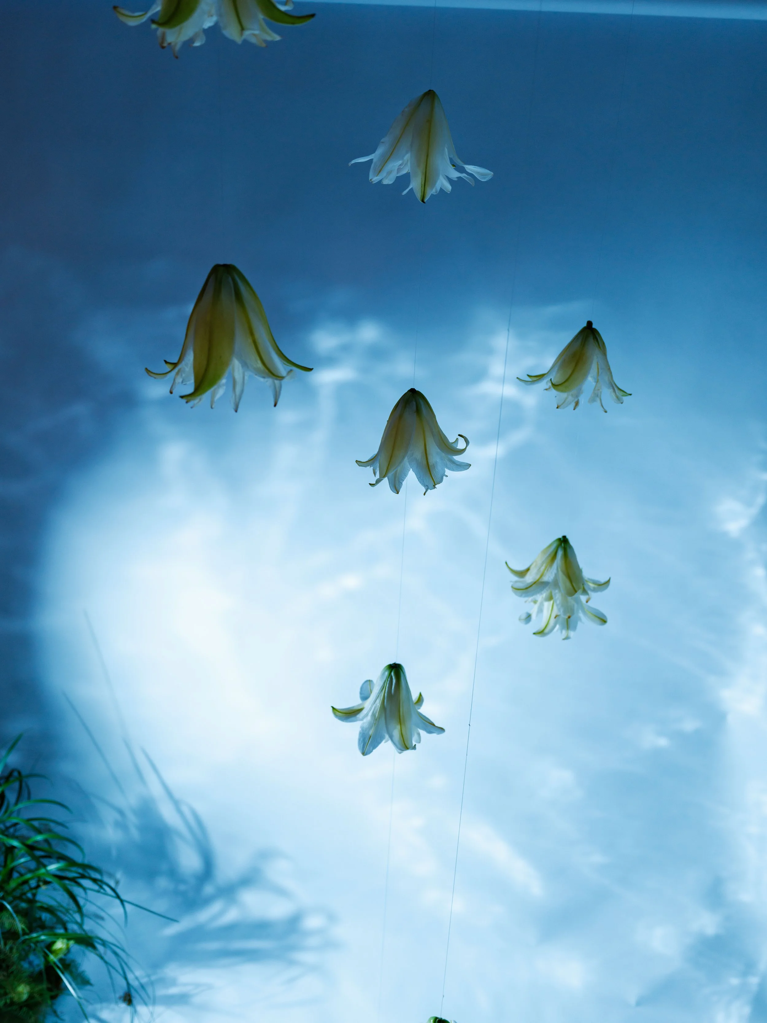 nova wedding florist