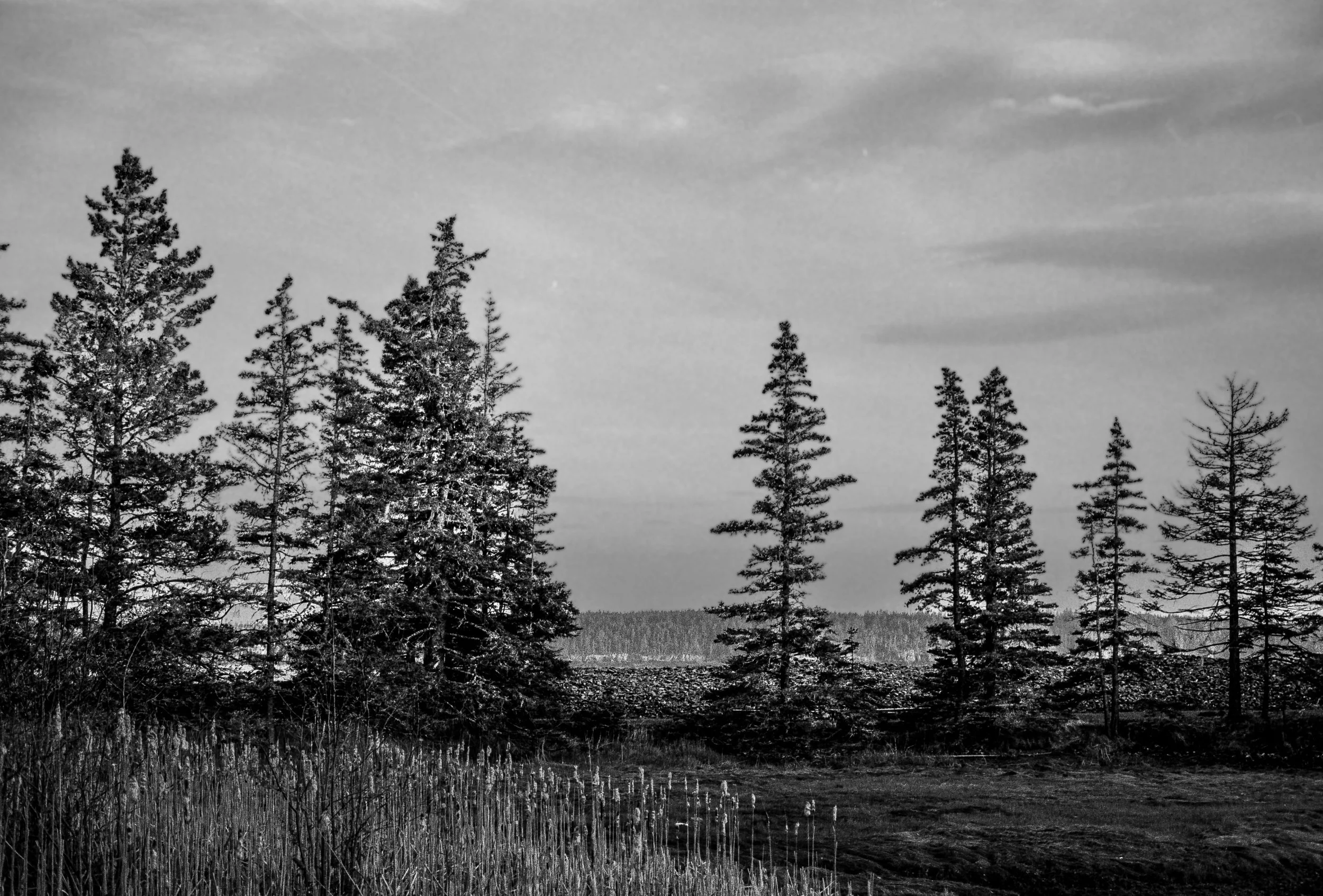 Maine 32 (11)-positive.jpg