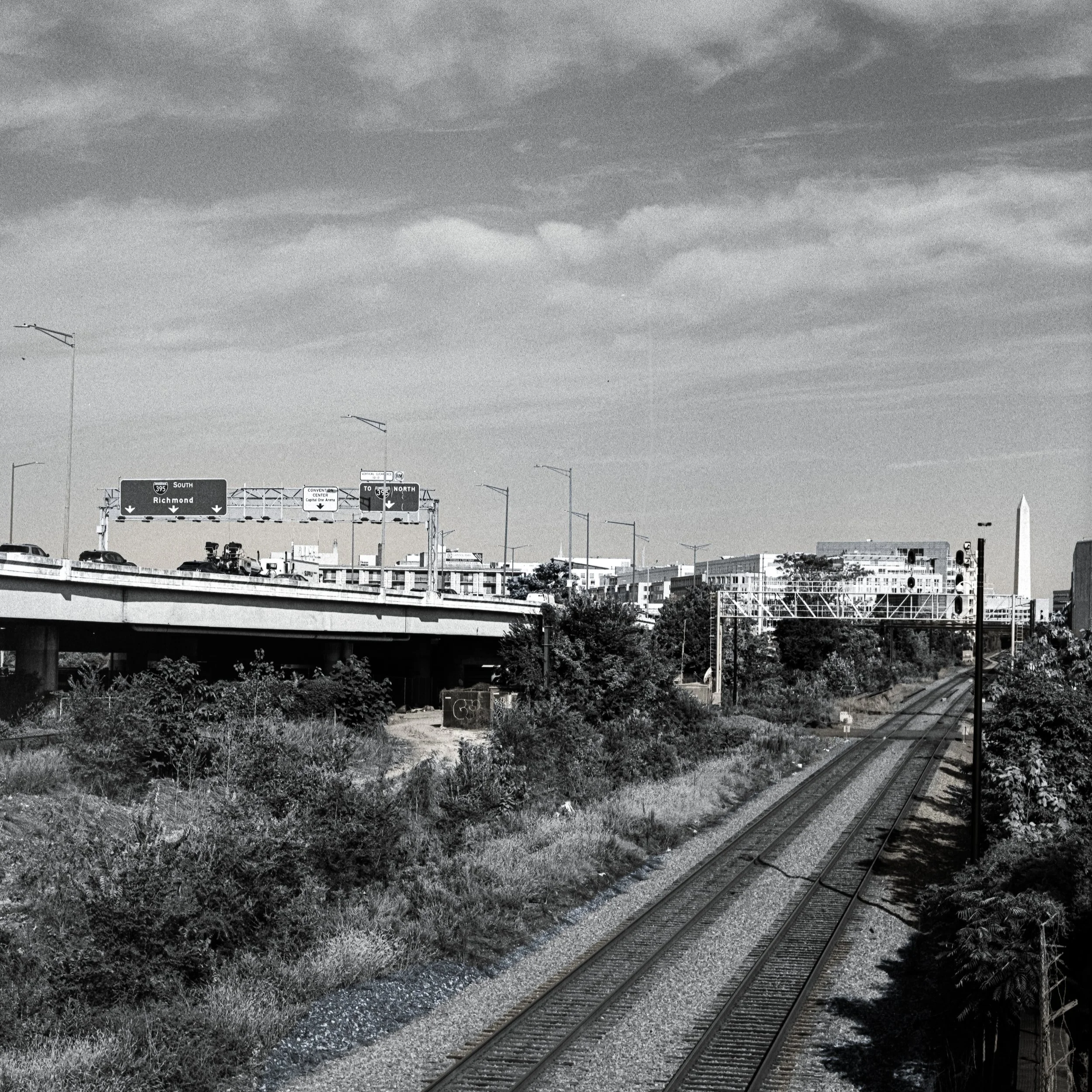 NJ DC Web-2.jpg