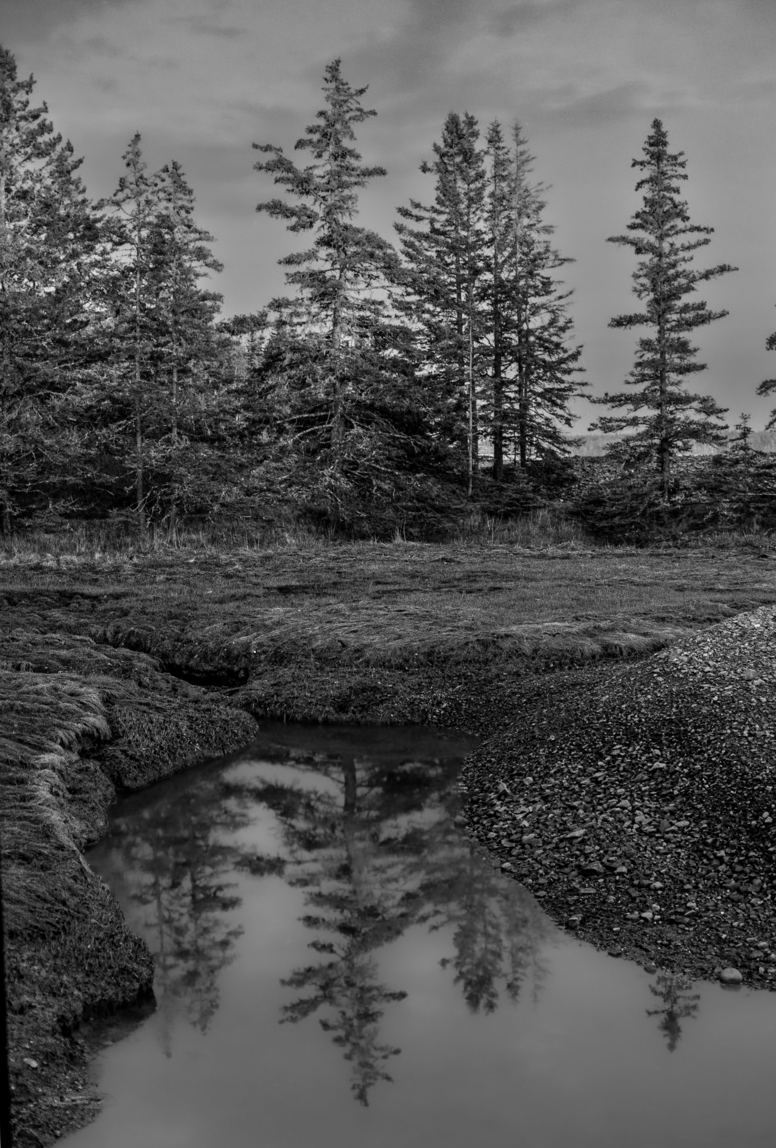Maine 32 (12)-positive.jpg