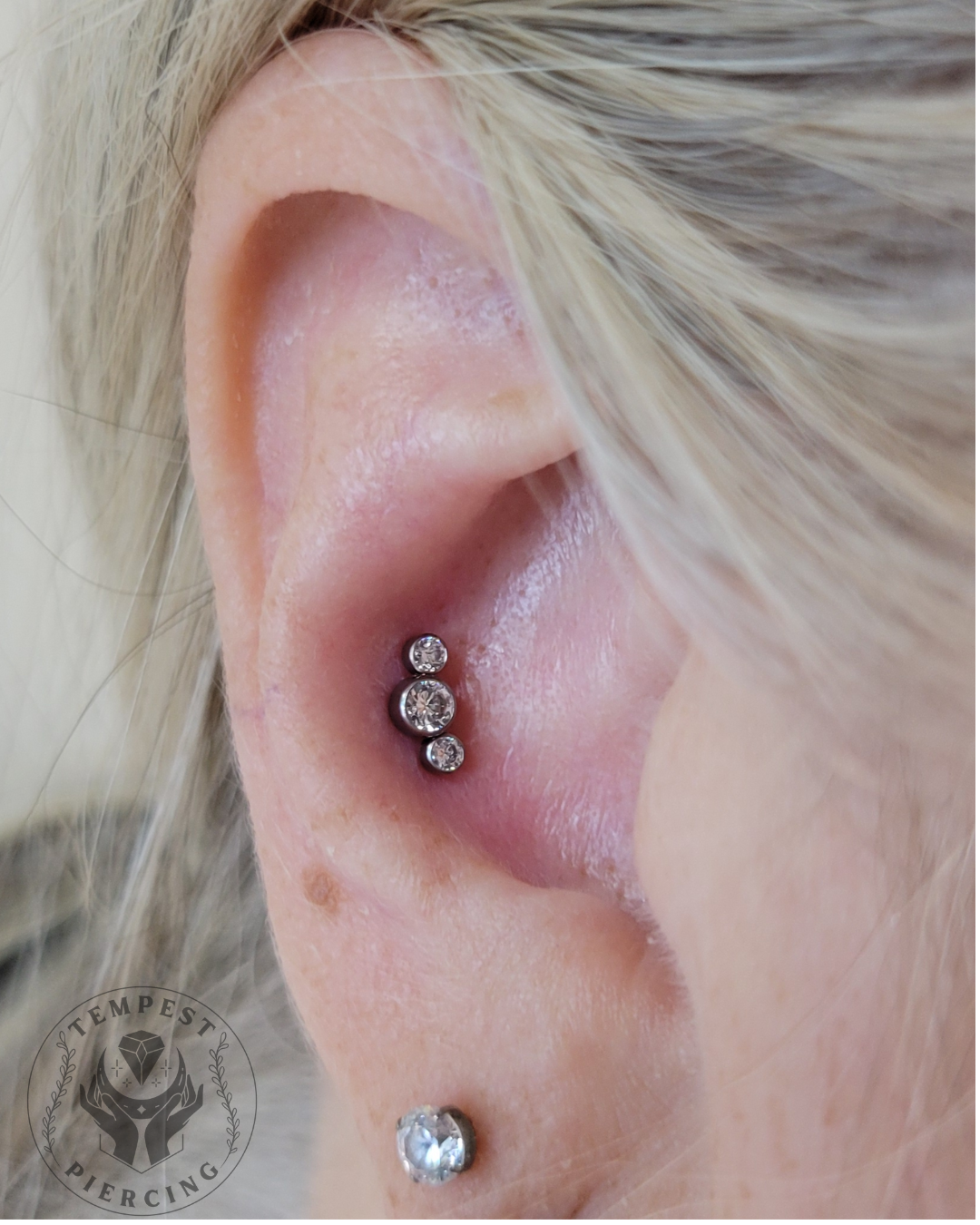 Conch NM 3 gem curve.png