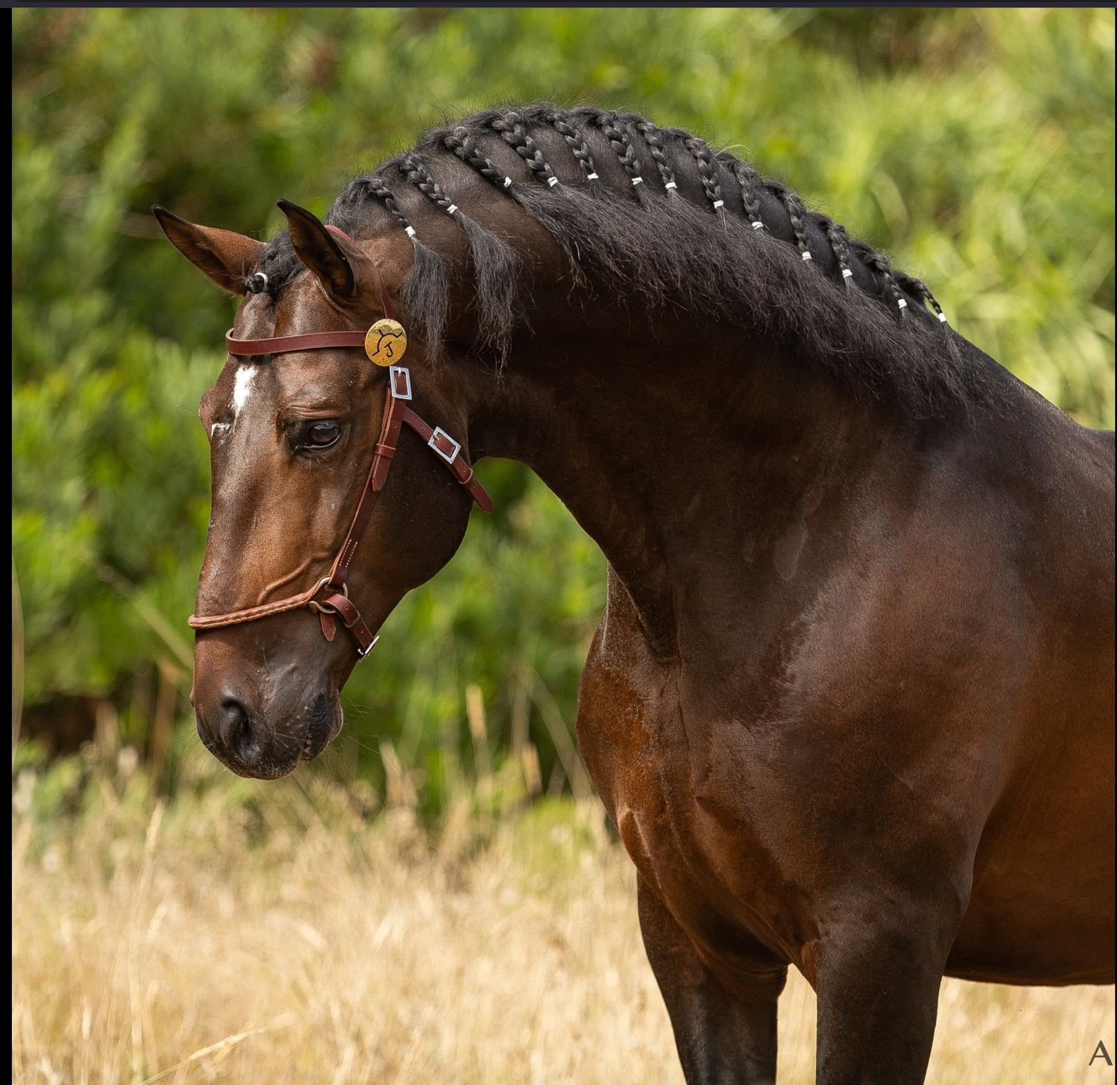 WhatsApp Image 2025-12-17 at 9.42.14 PM (2).jpeg