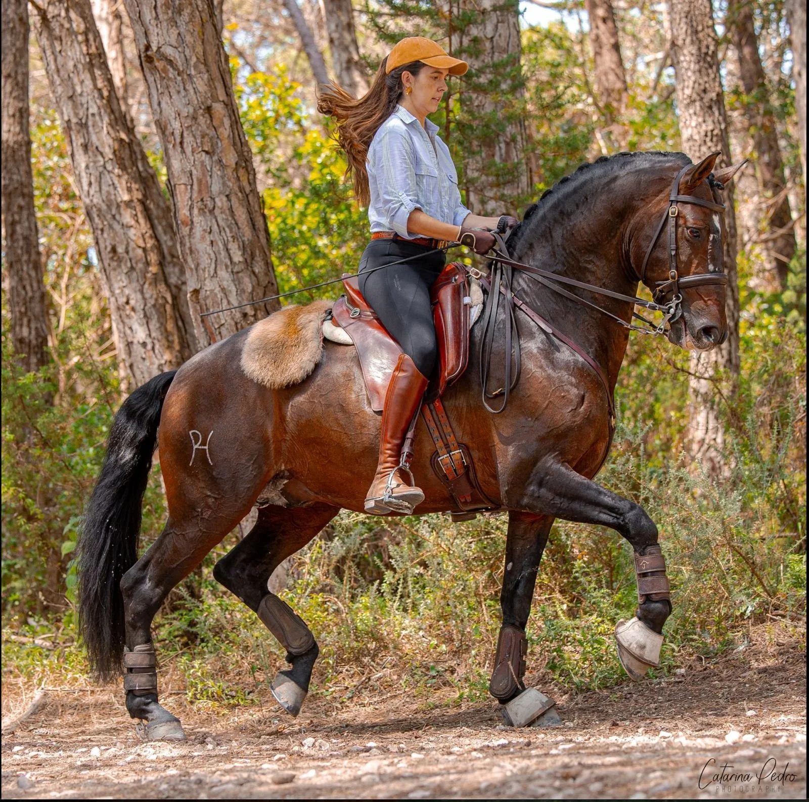 WhatsApp Image 2025-12-17 at 9.42.14 PM (1).jpeg