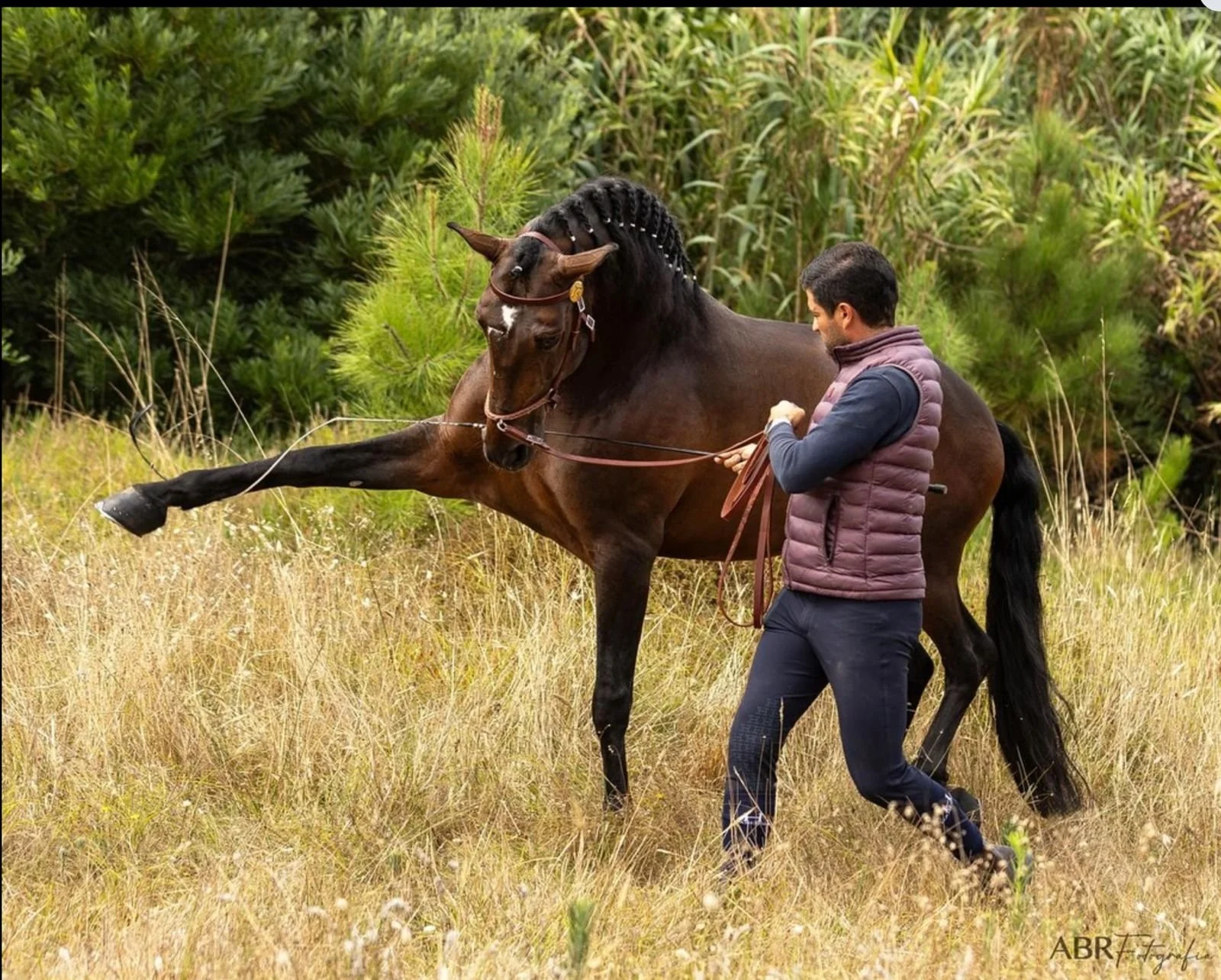 WhatsApp Image 2025-12-17 at 9.42.14 PM (3).jpeg