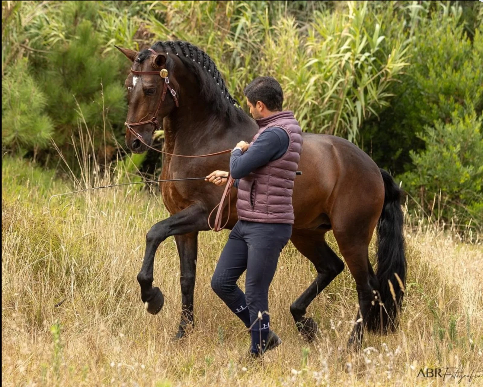 WhatsApp Image 2025-12-17 at 9.42.14 PM.jpeg