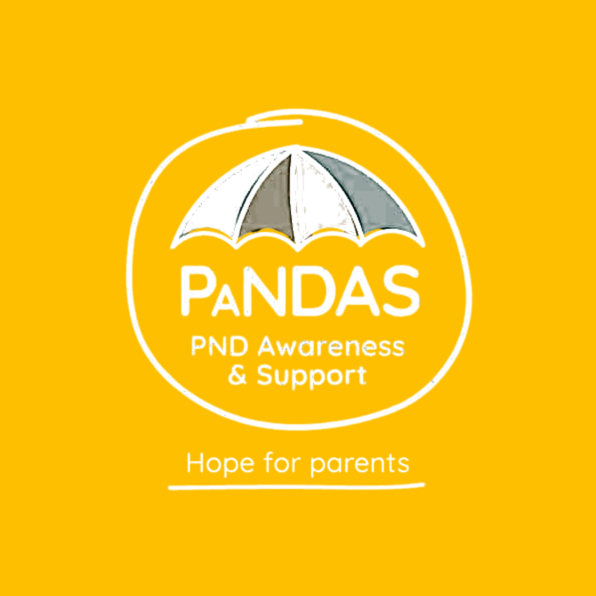 pandas charity logo on m4 yellow