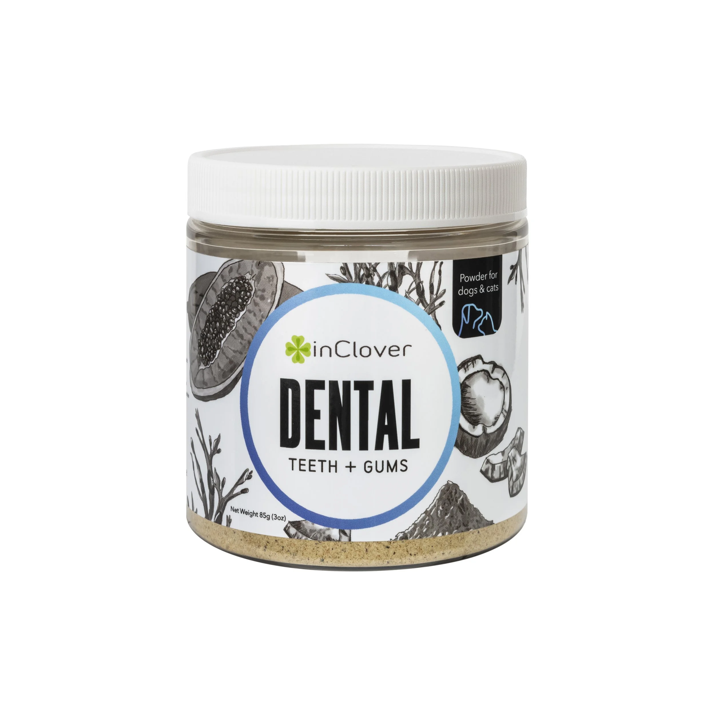 Dental-01.jpg