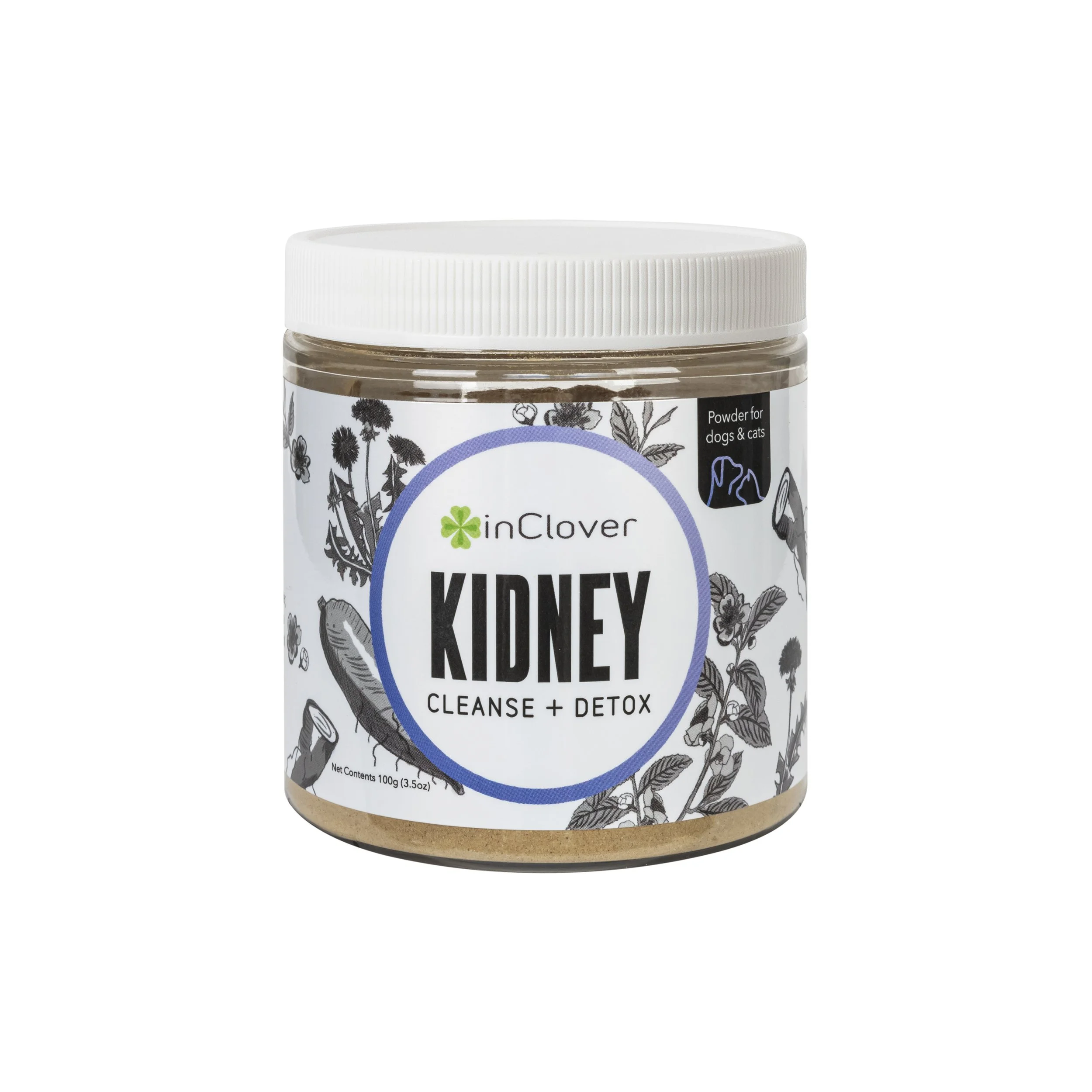 Kidney-01.jpg