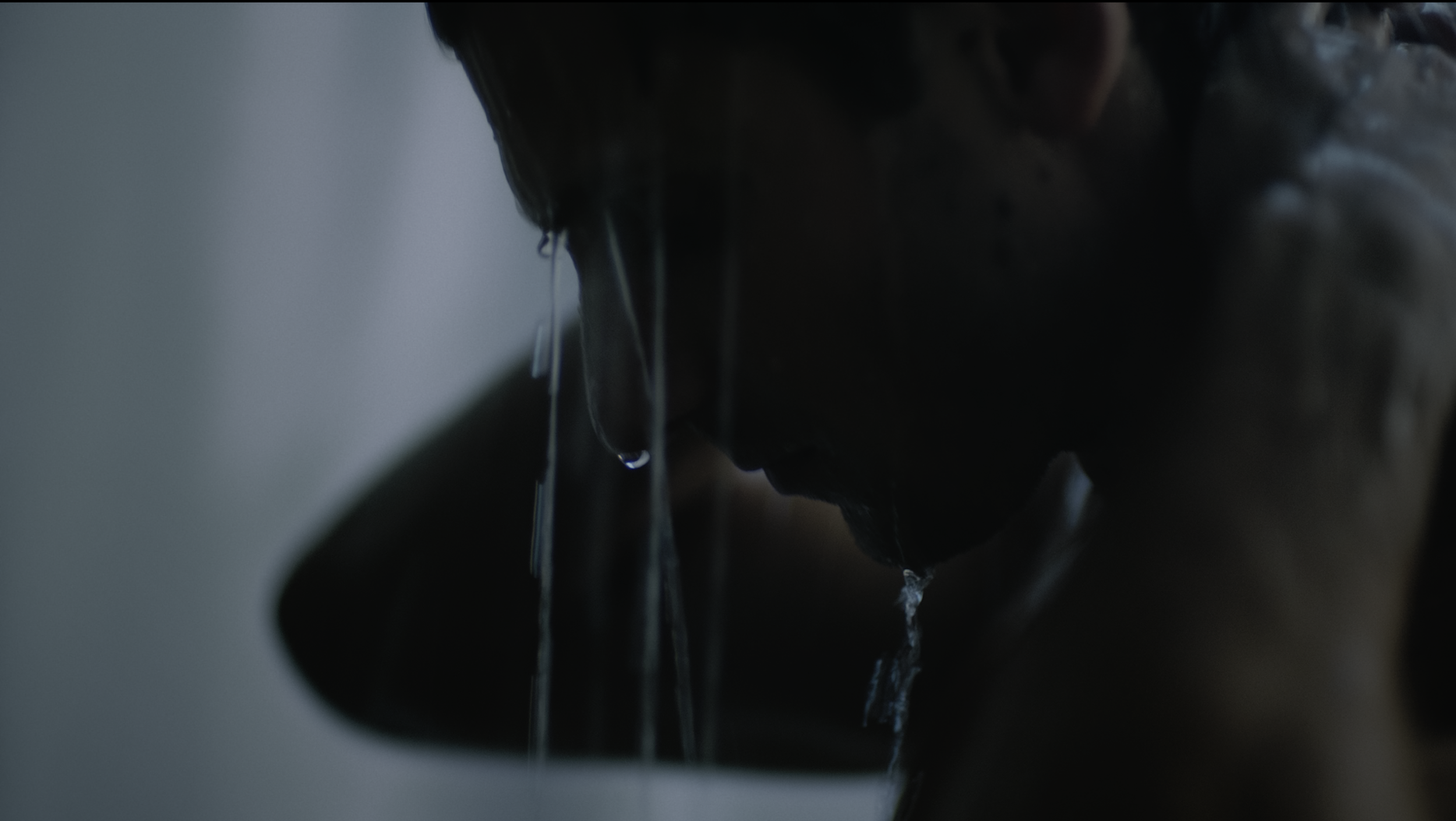 Screen Shot 2020-12-22 at 12.56.55 PM.png