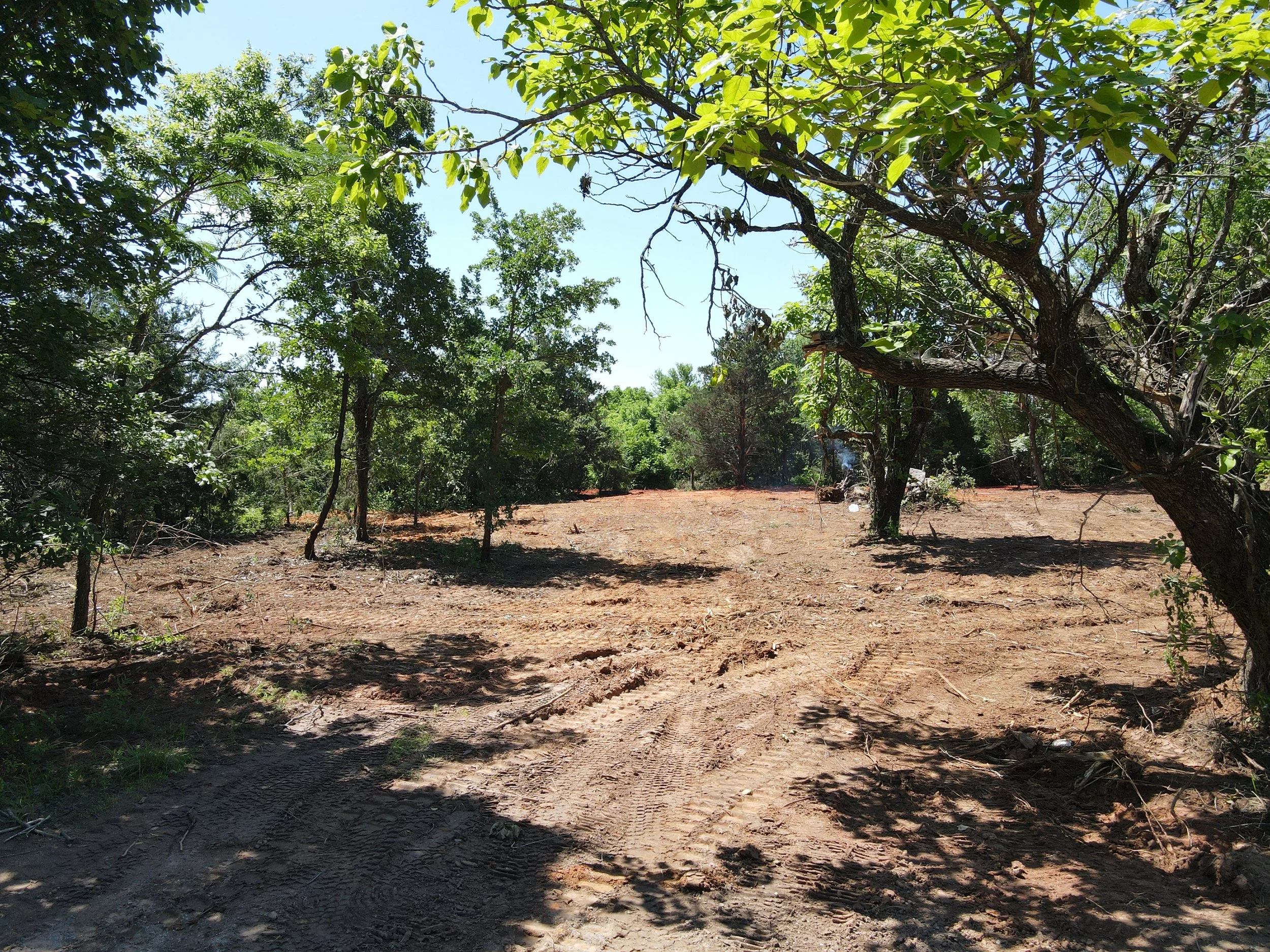 A dirt path through a wooded area with multiple trees, land clearing operation