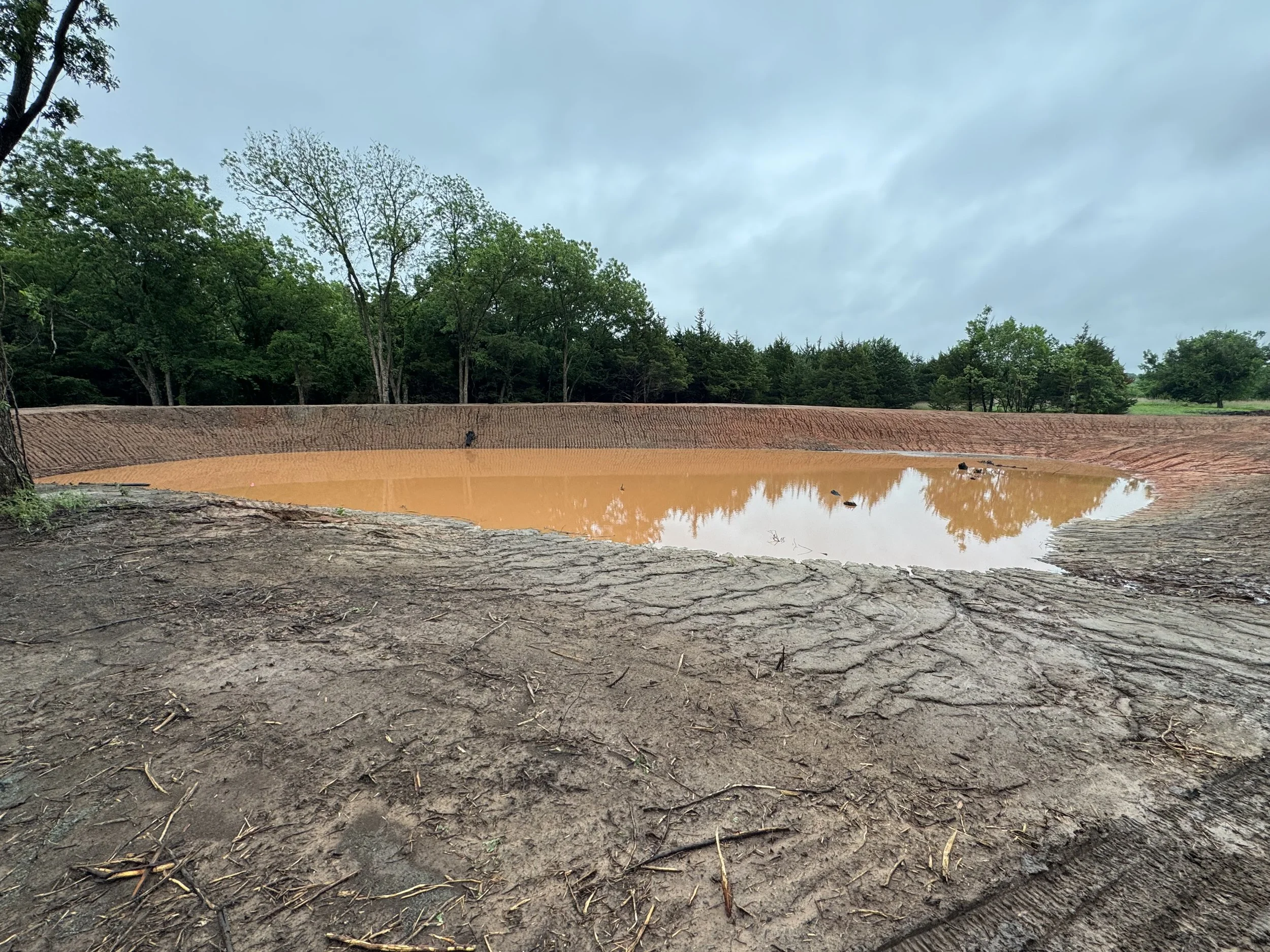 A small pond surrounded by trees and a dirt embankment, with cloudy sky overhead.