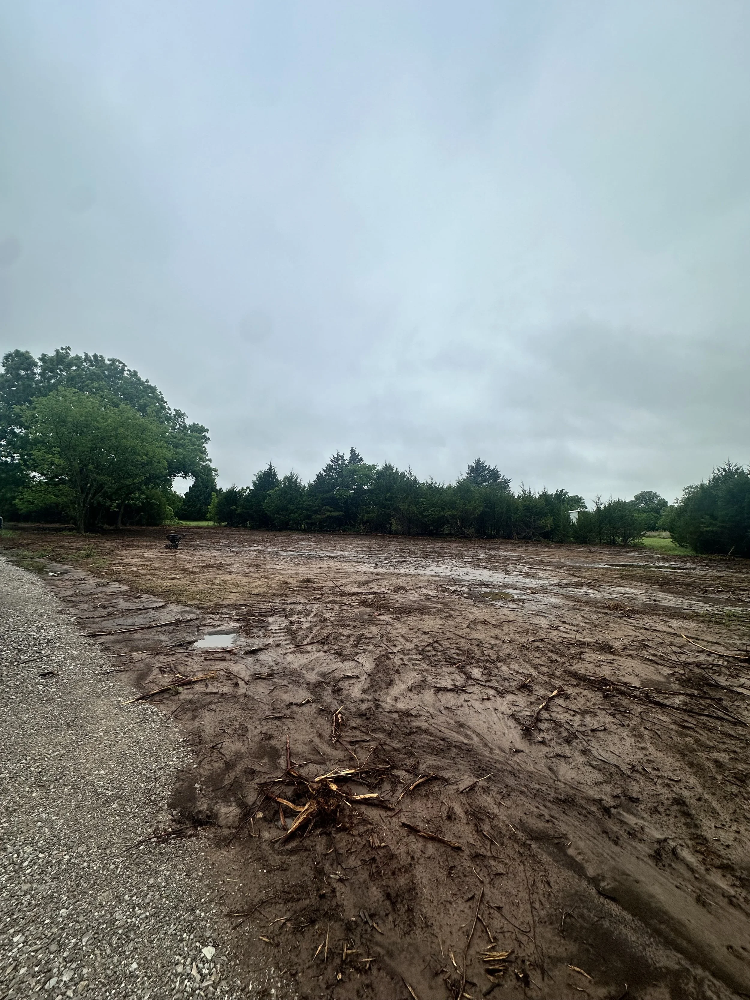 A muddy area next to a gravel road with scattered tree debris from a demolition.