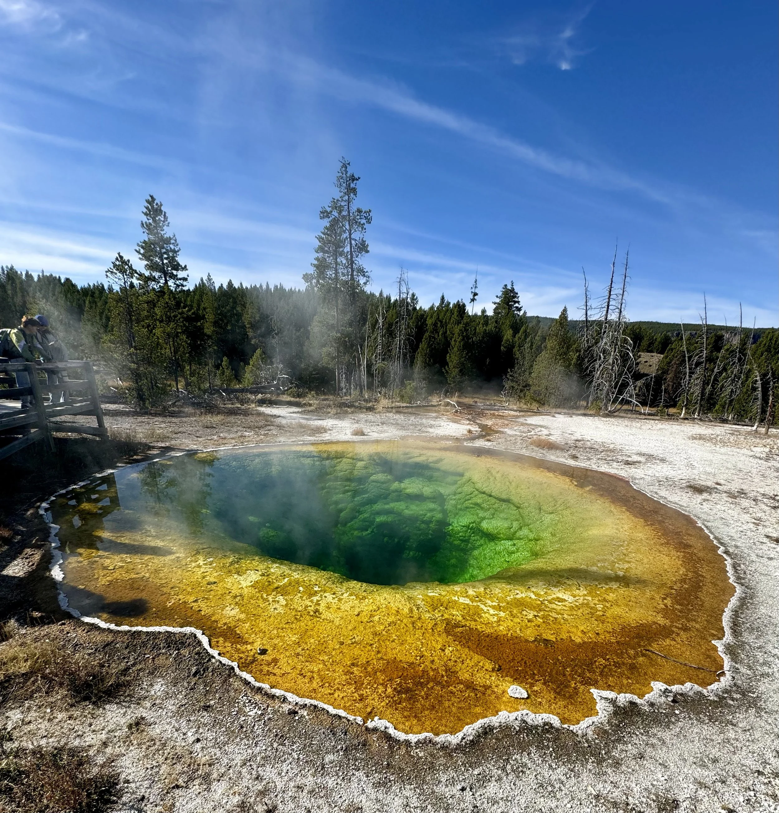 Yellowstone National Park, WY