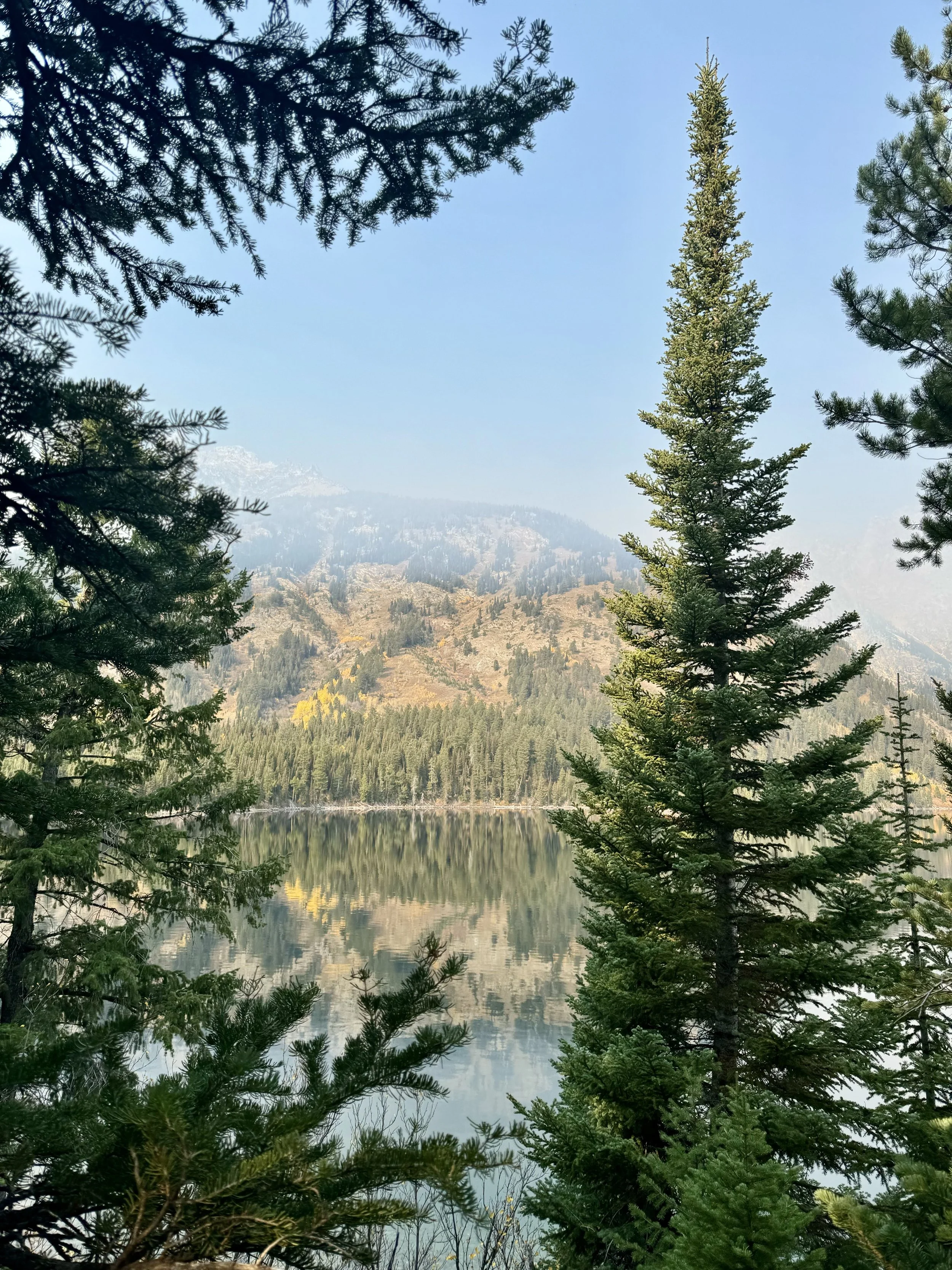 Grand Teton National Park, WY