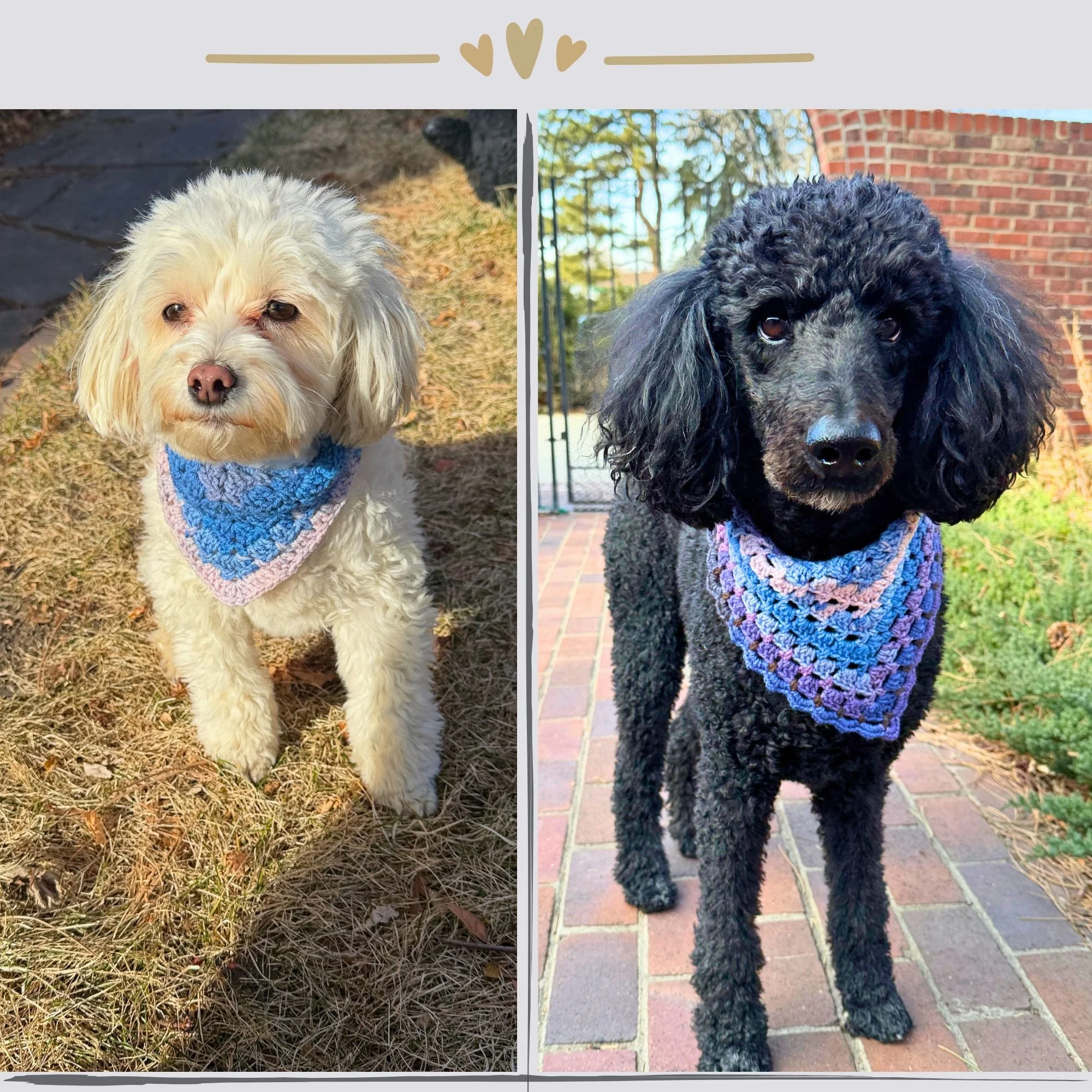 Dog matching crochet bandana pattern granny stitch modern