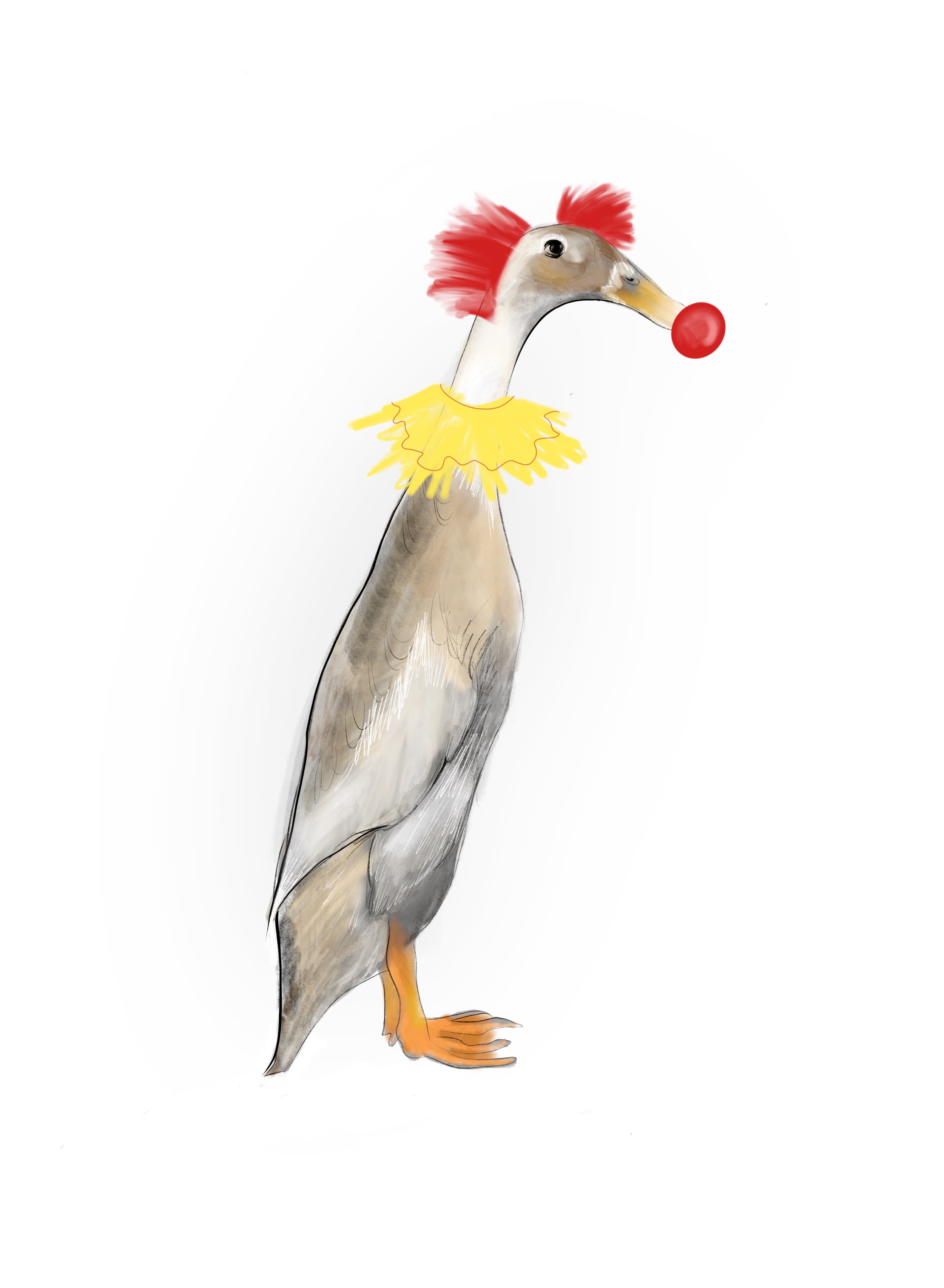 A drawing of a duck dressed as a clown, with red hair, a yellow ruffled collar, and a red clown nose.