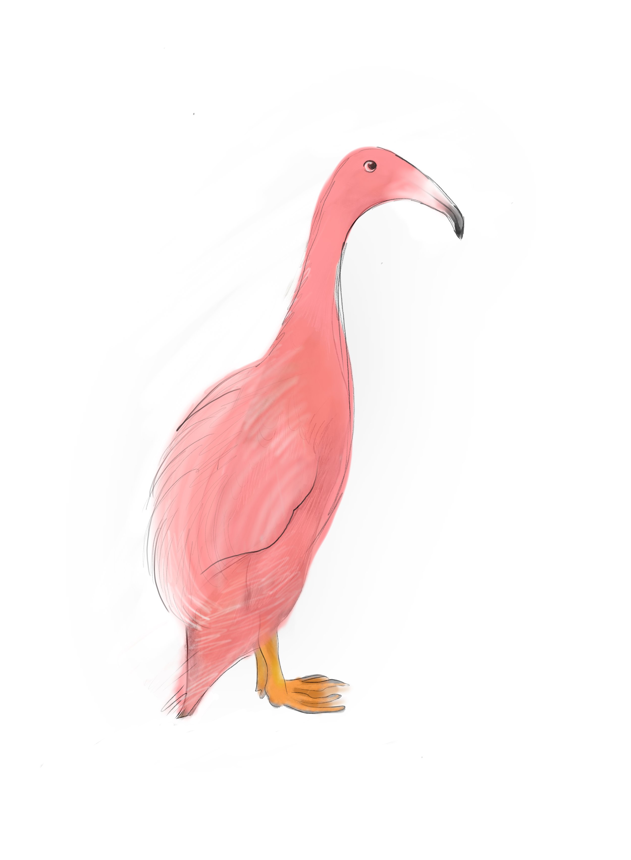 A digital illustration of a pink flamingo facing right with a long curved neck, black beak, and orange legs on a white background.