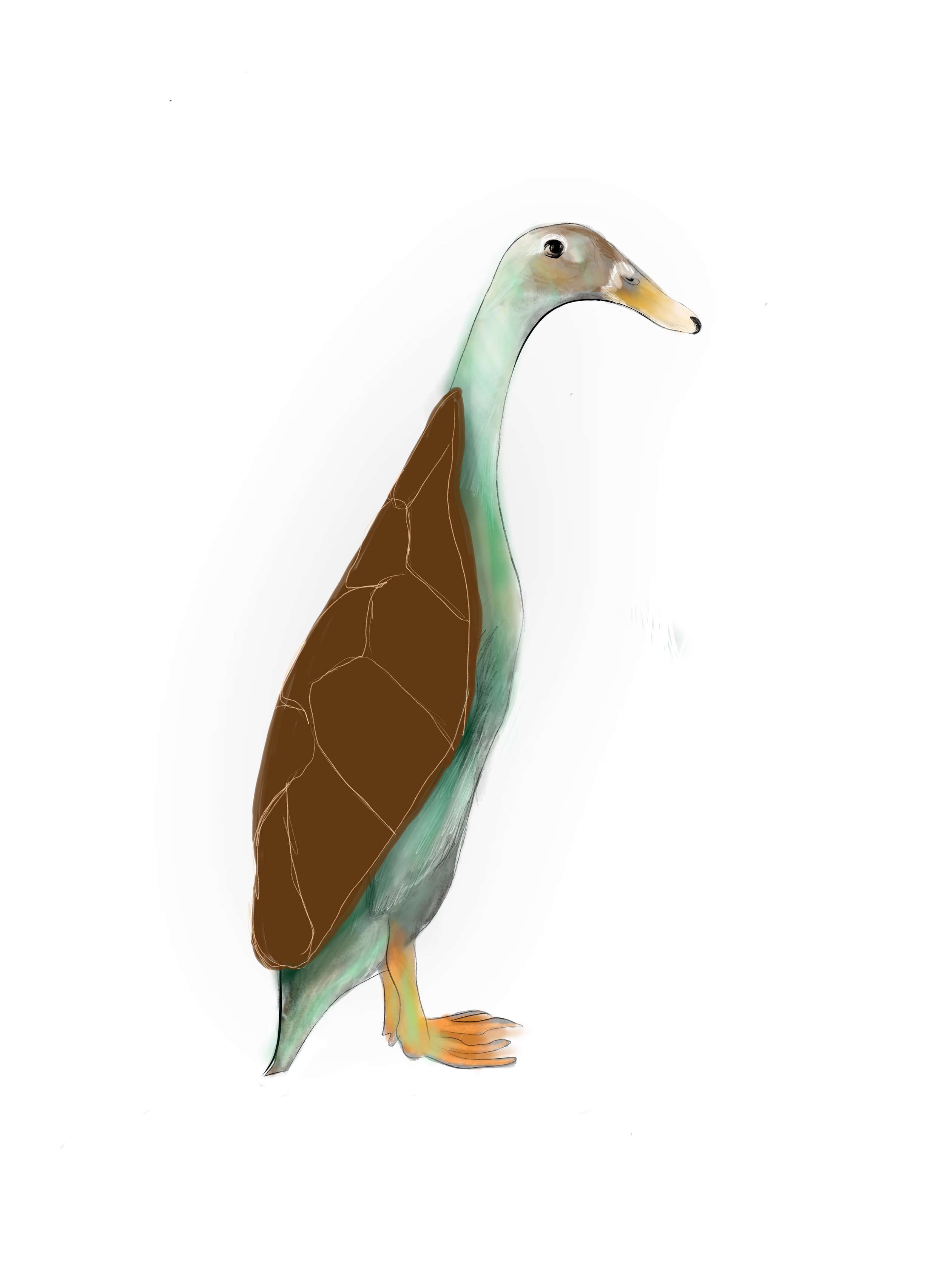 A digitally illustrated animal with the body of a turtle and the head of a duck, standing on its hind legs with a white background.