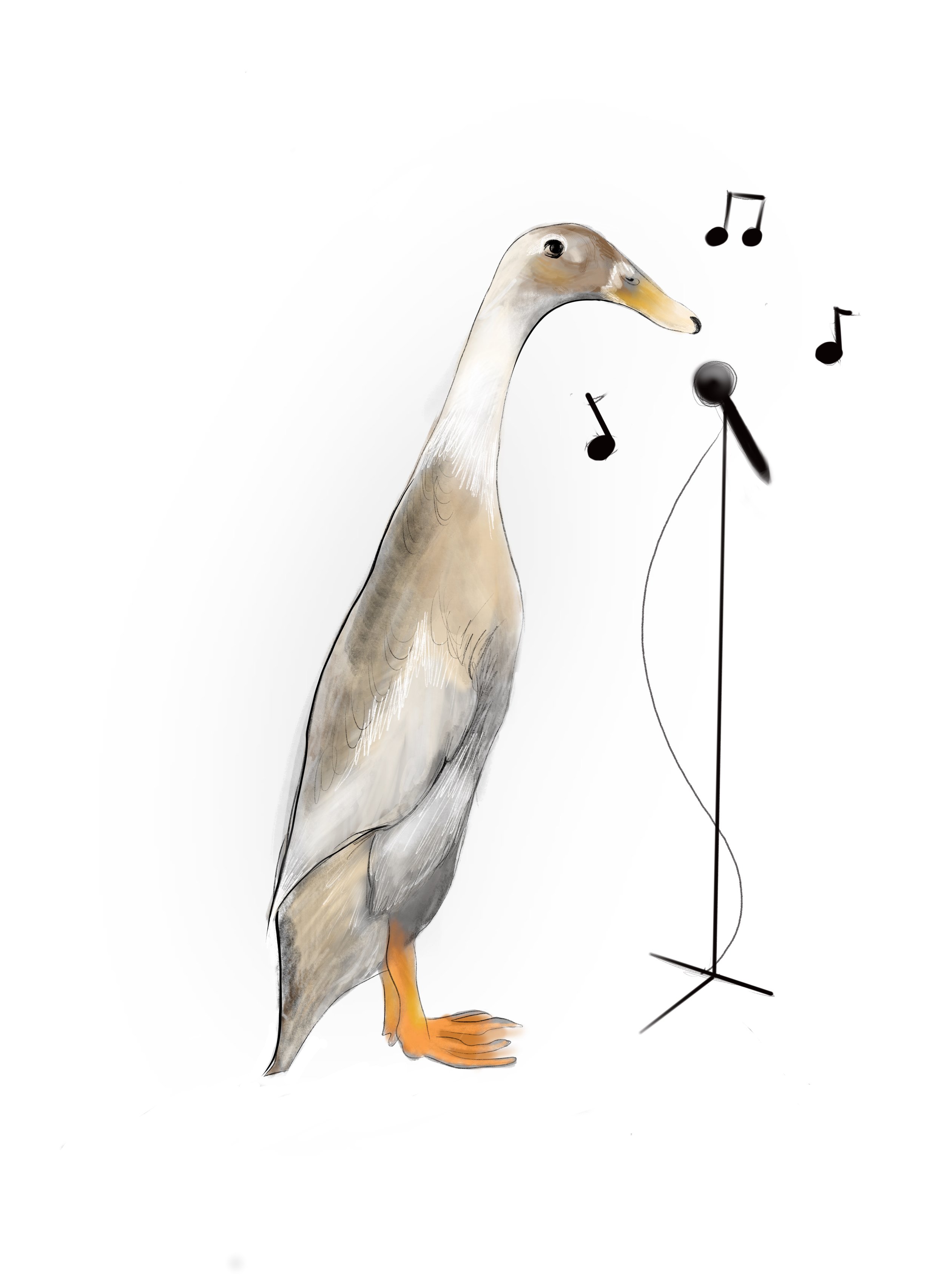 Drawing of a duck standing next to a microphone with musical notes around it, as if singing or performing.