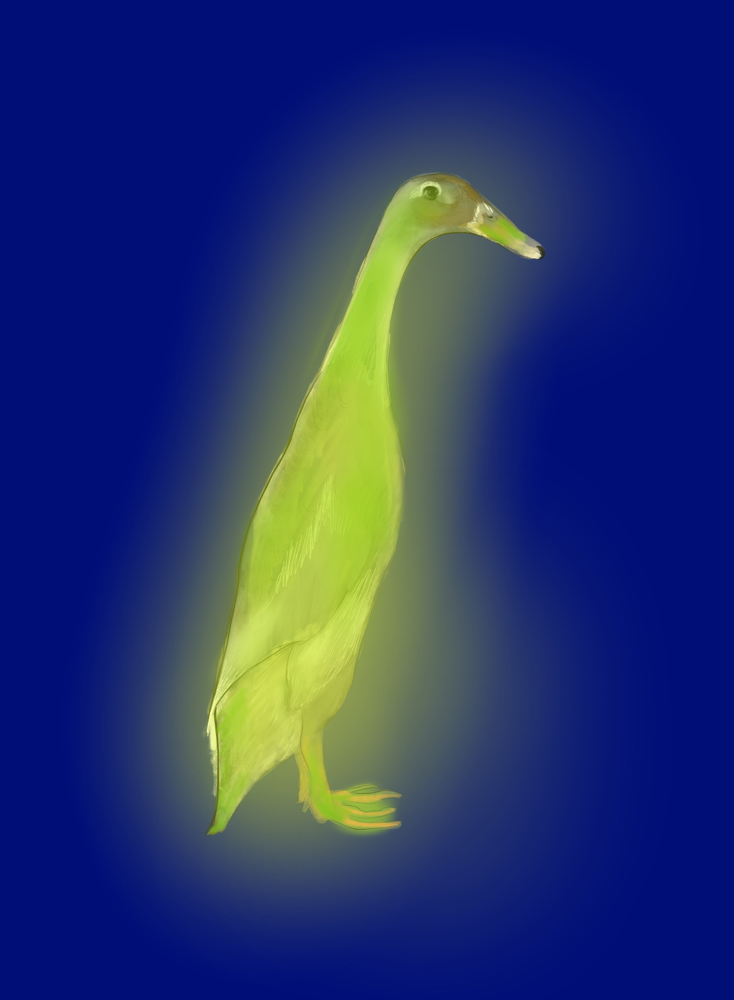 A humorous digital illustration of a creature with the body of a duck and the head of a leafy green vegetable against a blue background.