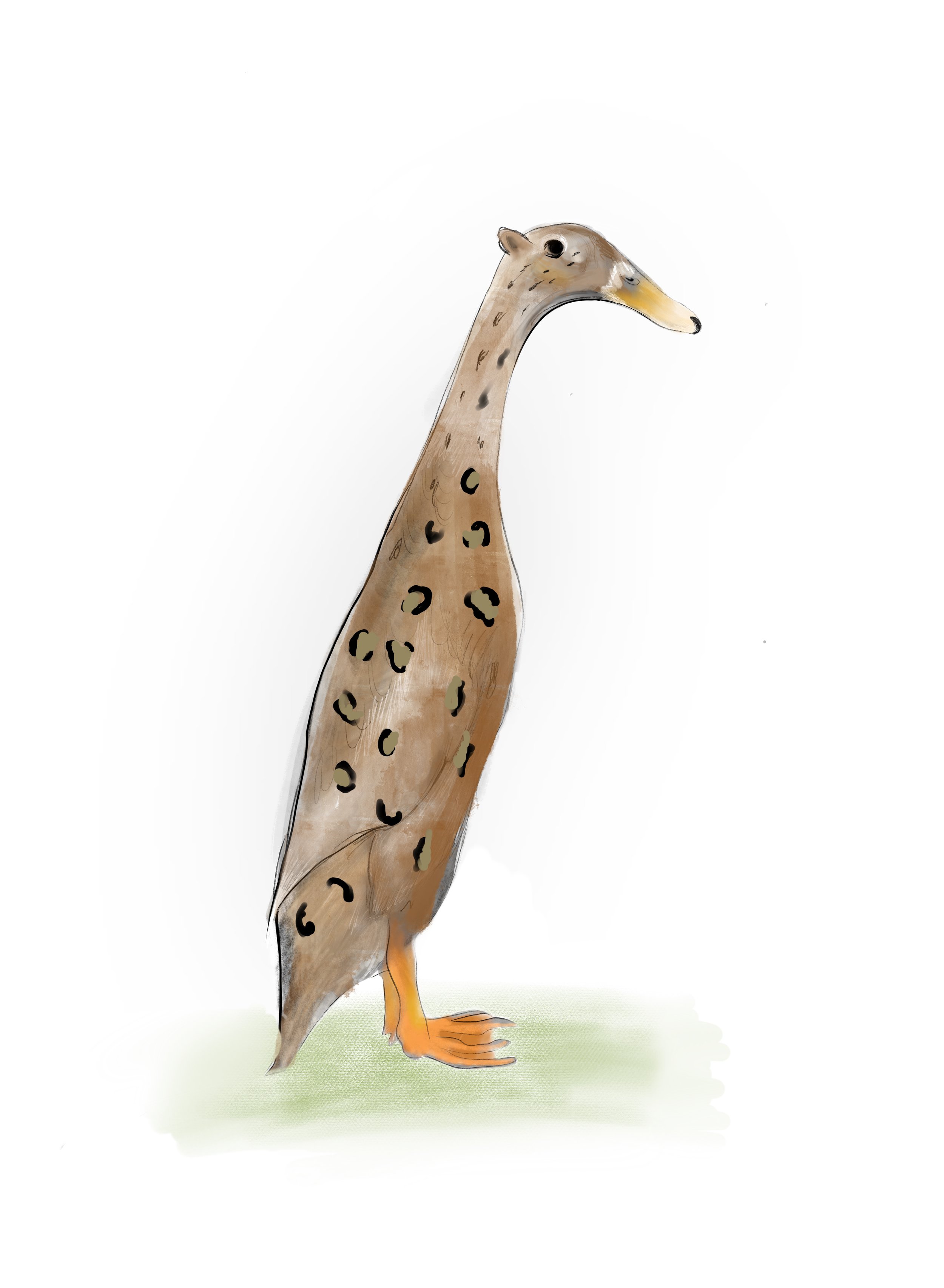 Illustration of a duck with a body resembling a giraffe, featuring giraffe-like spots and a long neck.
