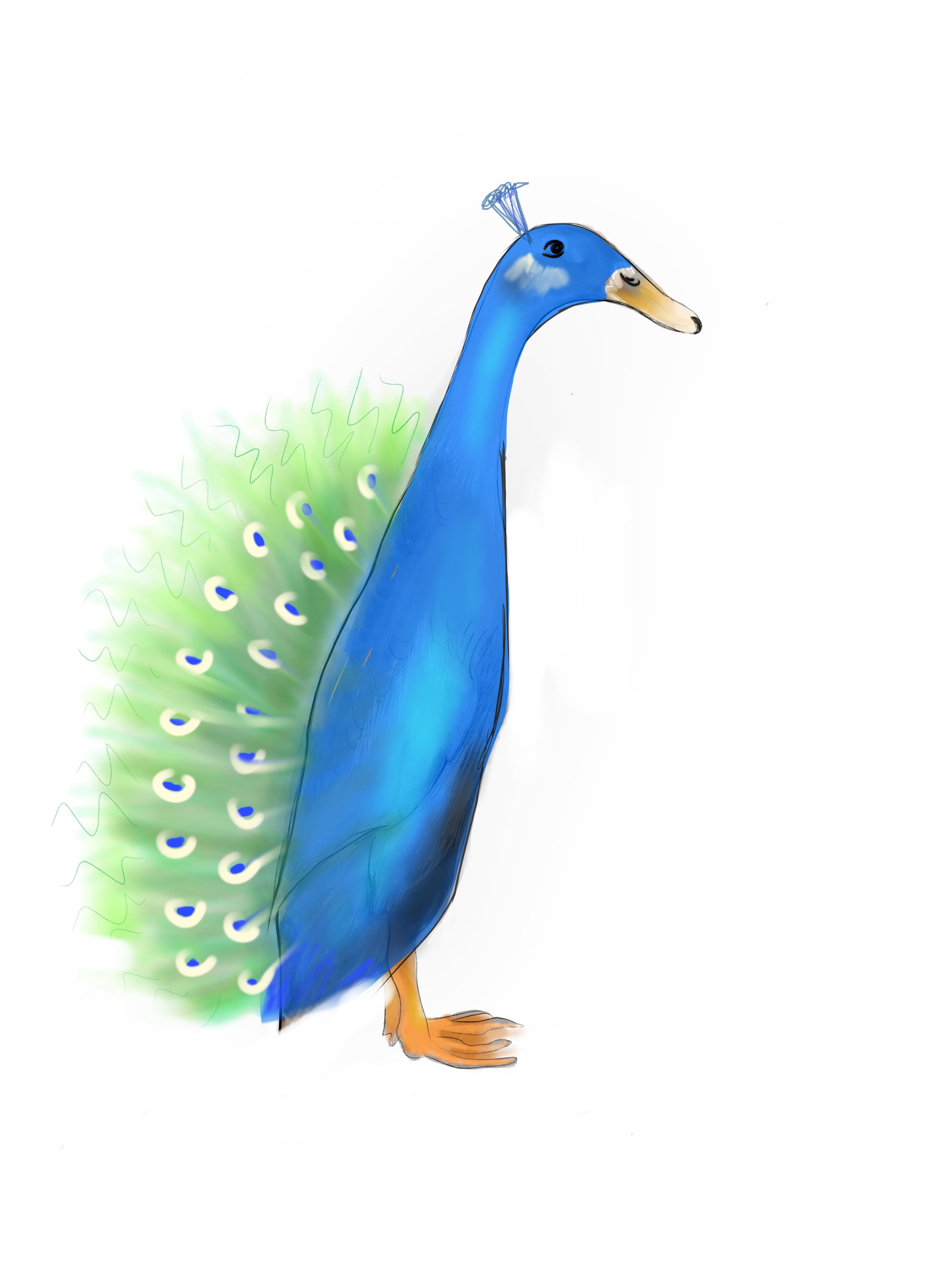A digital drawing of a peacock with a bright blue body, orange legs, and green tail feathers with eye-like patterns.