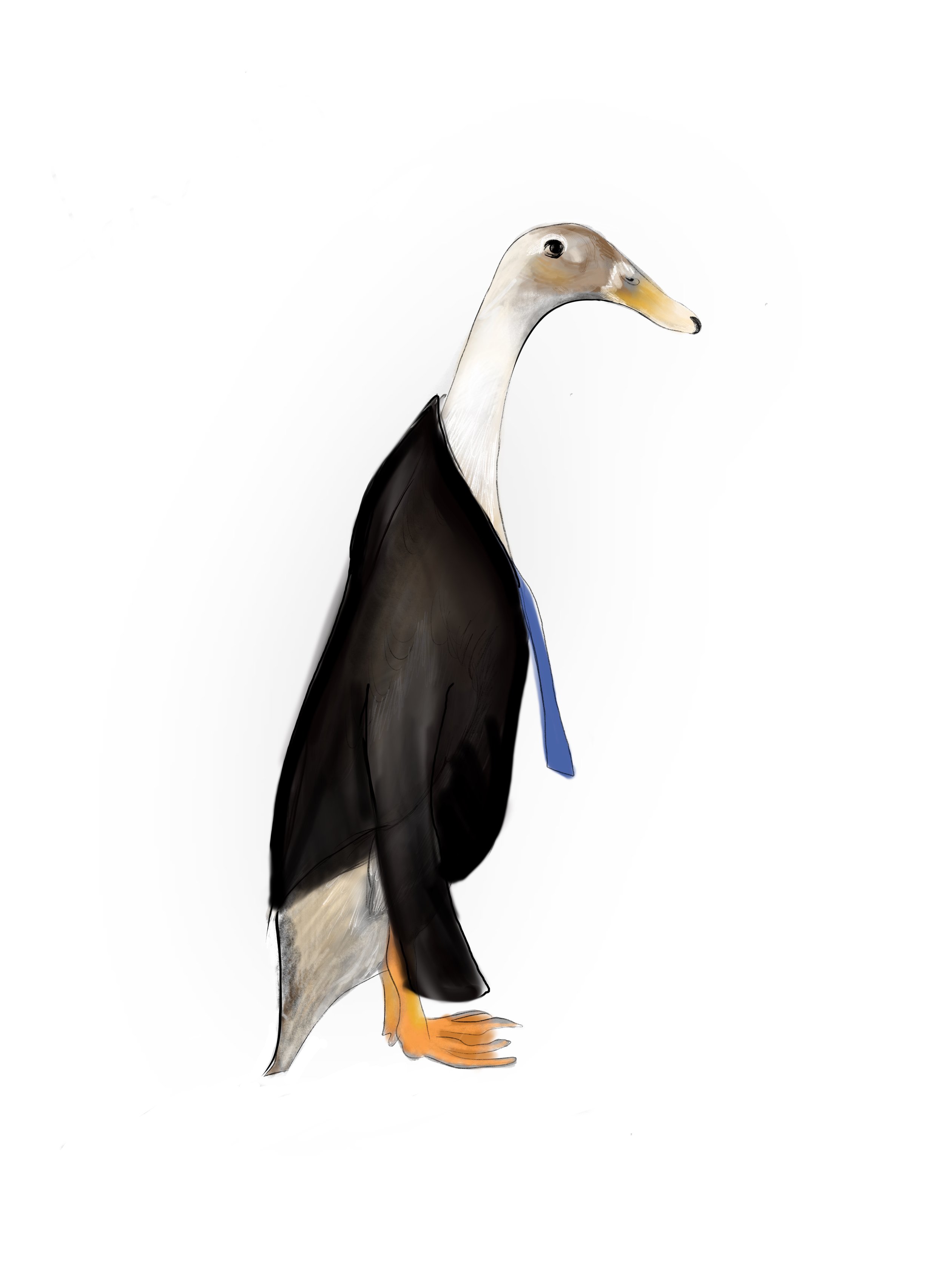 A cartoon drawing of a duck dressed in a suit, wearing a blue tie, with its body turned to the side and head facing forward.