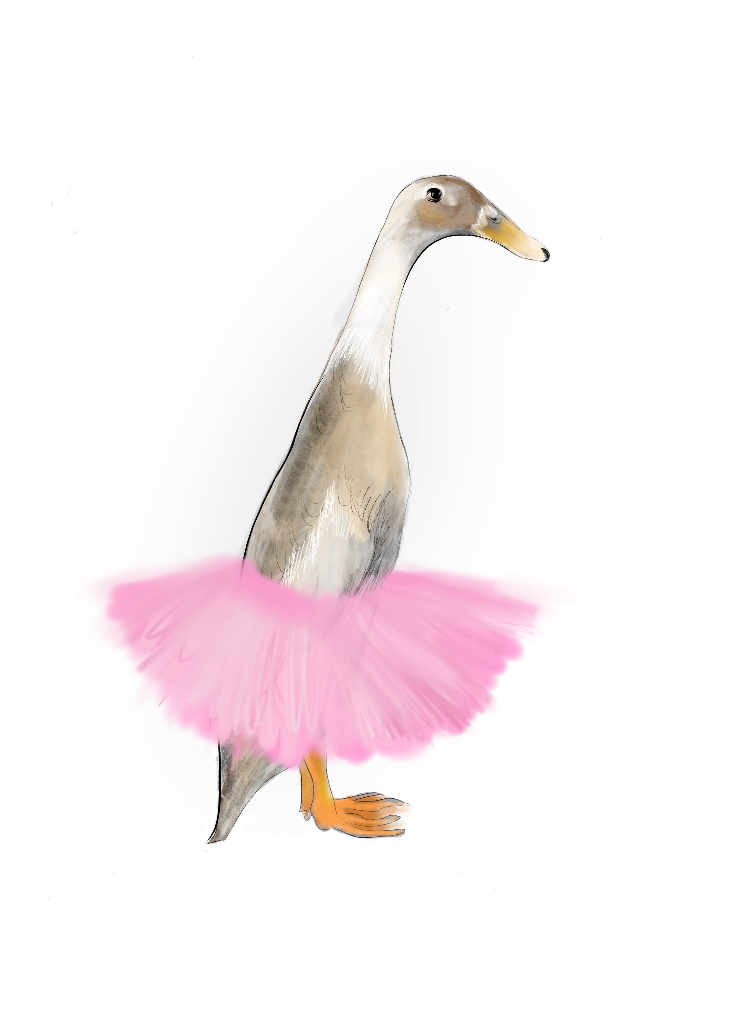 Drawing of a duck standing upright, wearing a pink tutu around its waist.