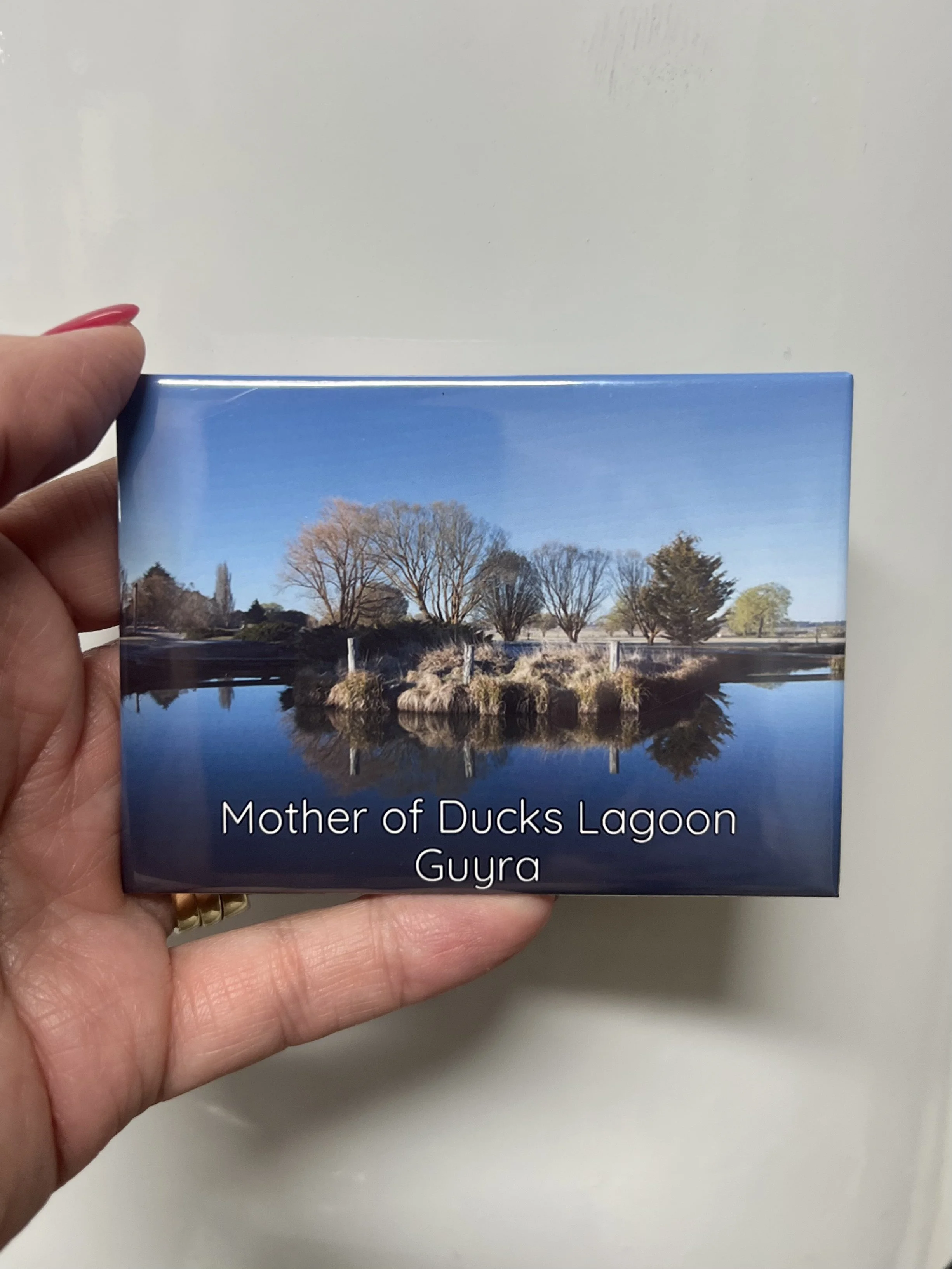 Fridge Magnets