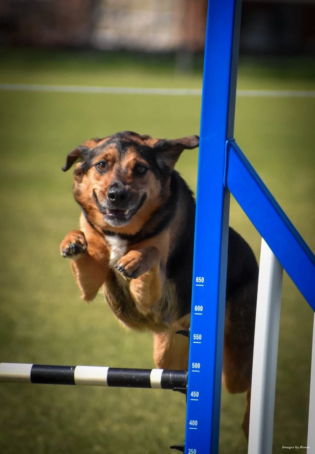 Ty - Novice Snooker 400 Final