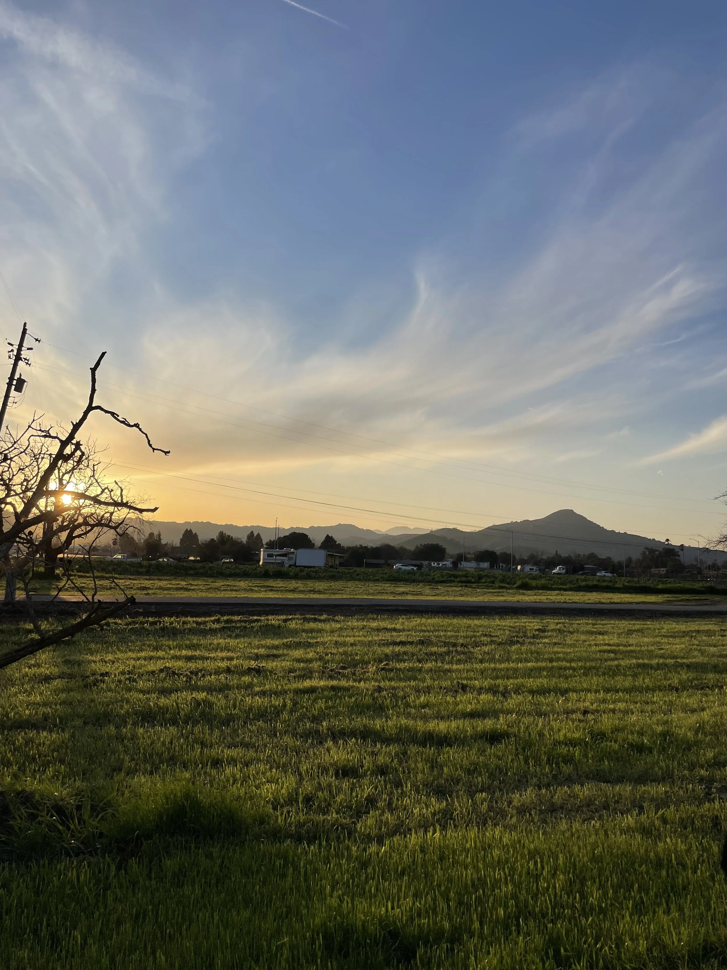  Soaking up the last bits of California sun before we left 