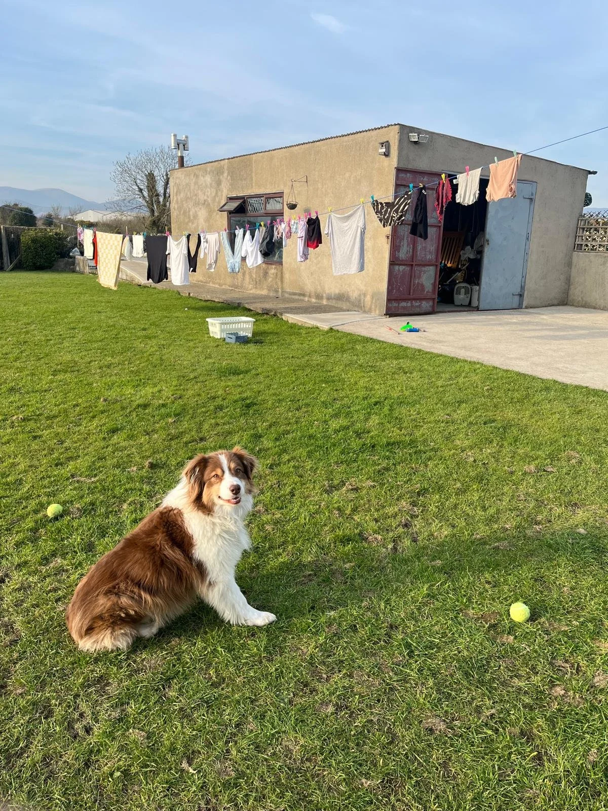 Lady enjoying the sunshine!