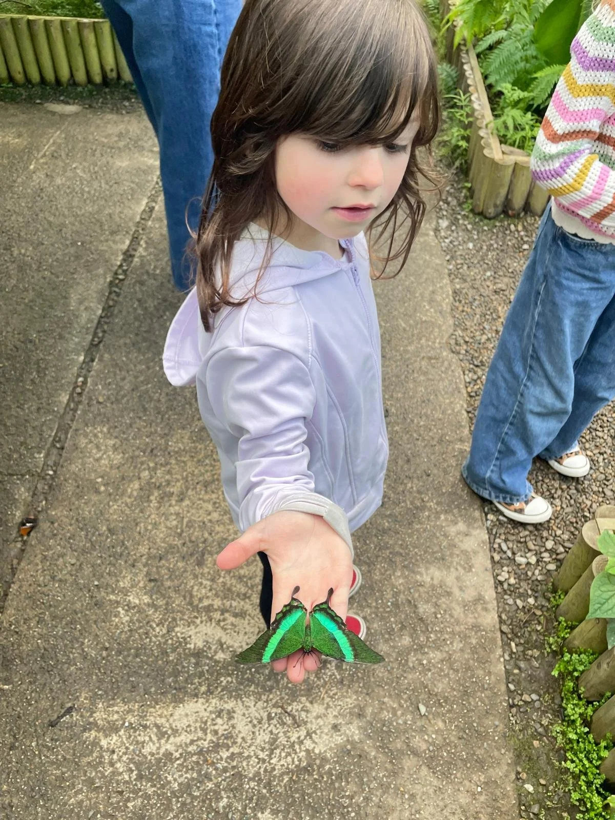 Experiencing the Butterfly House with friends!