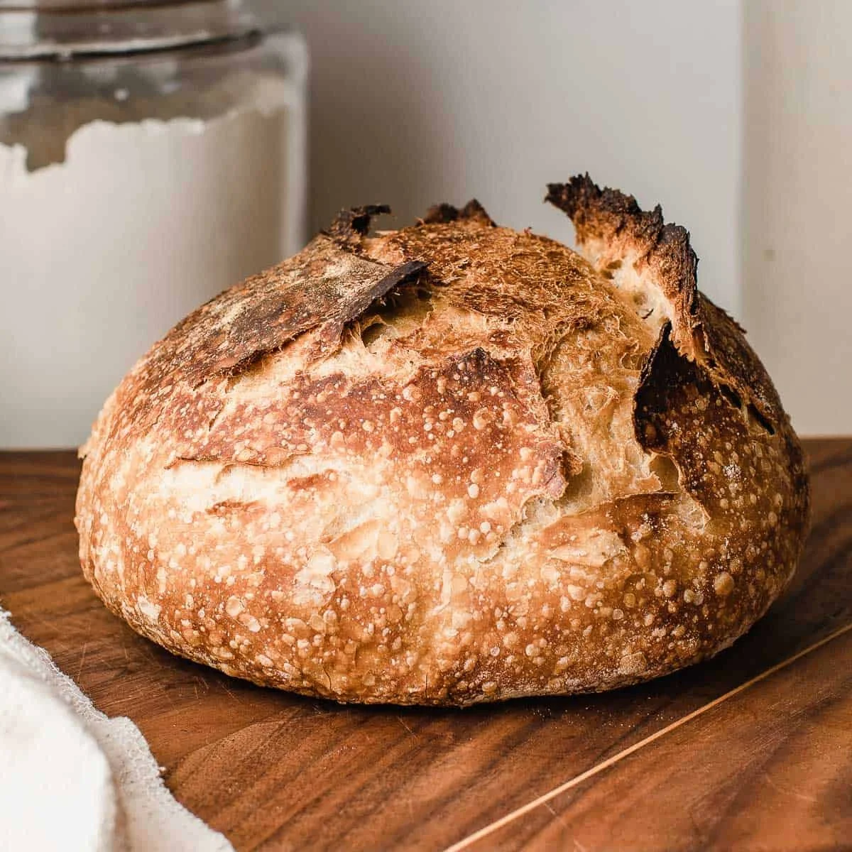 Roasted Garlic Sourdough