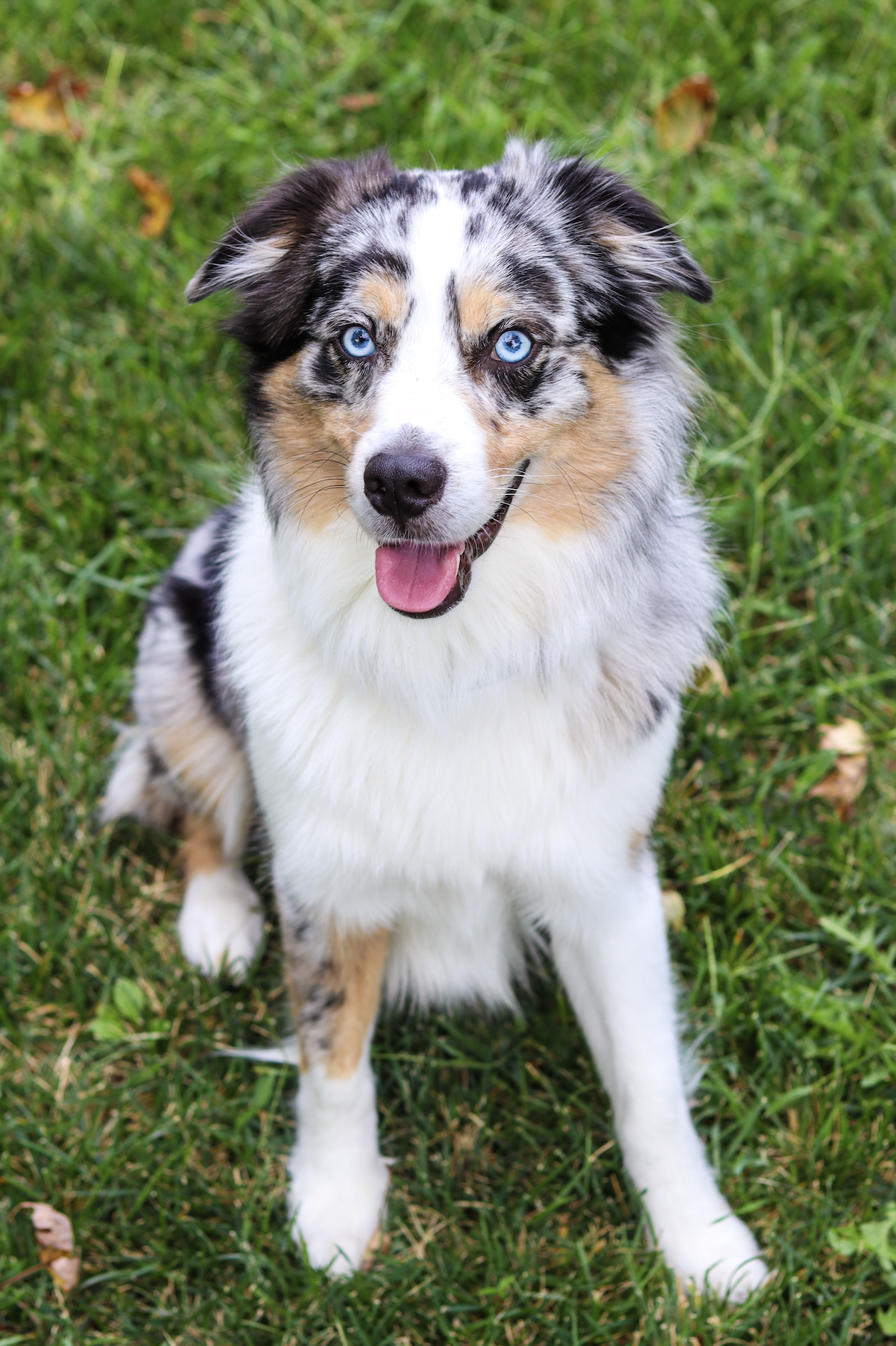 Screenshot 2025-01-08 at 2.24.06 AM.png