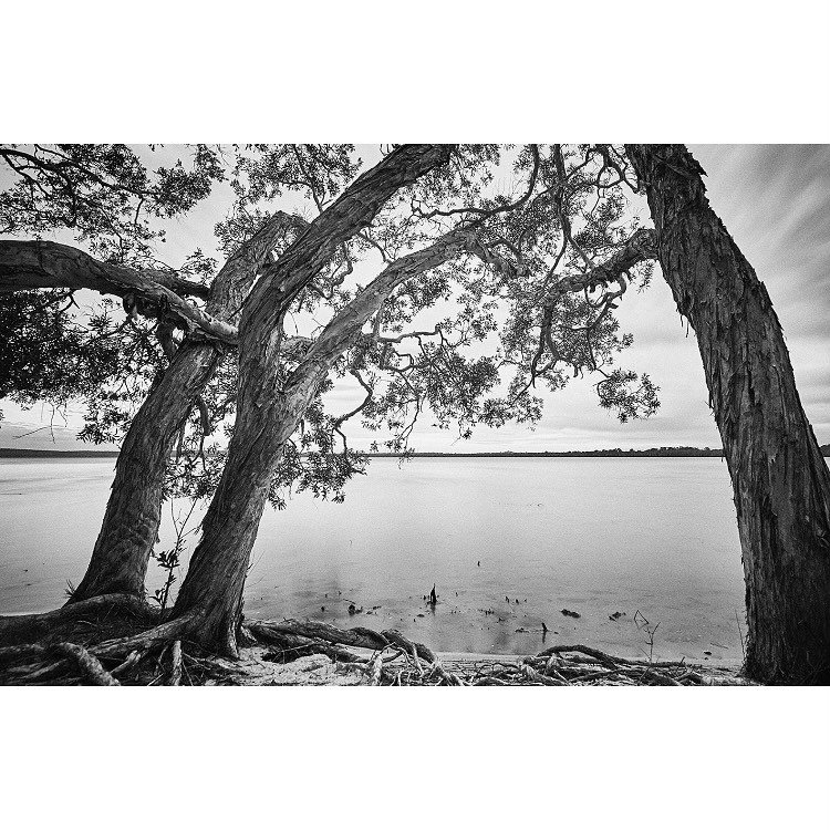 At Lake Weyba
.
.
.
#longexposure #longexposure_shots #lake #lakes #lakelife #lakeweyba #noosa #noosaphotographer #sunshinecoastphotographer #bnw #bnw_captures #bnw_landscape #bnw_captures #bnw_zone #fineart_photobw #artisartcommunity #blackandwhitep
