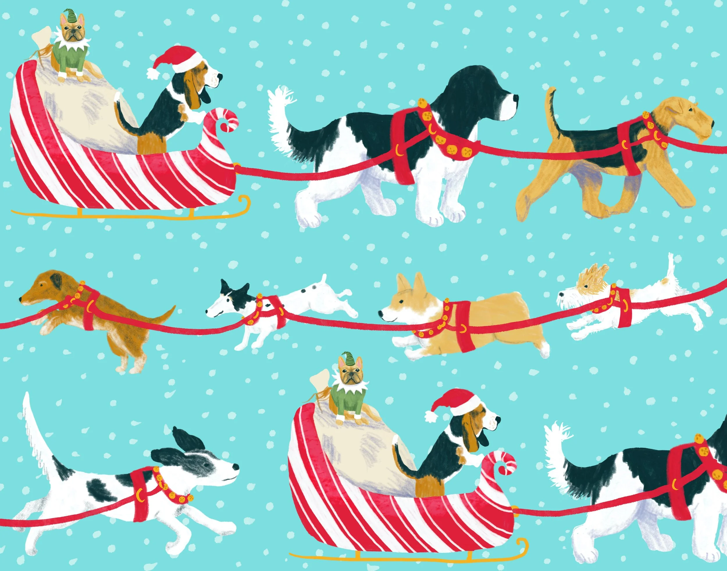 Tinsel town Hounds wrapping paper