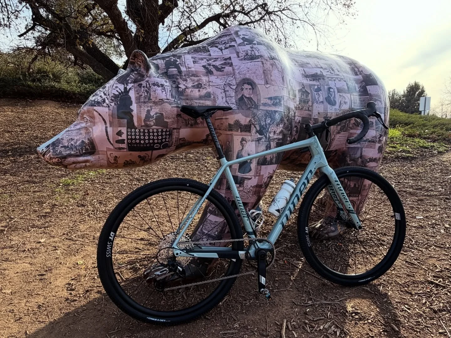 Meet Sixt&eacute;. 🫣 
This carbon niner is a dream to ride. Straight outta the box, @jensonusa had it dialed in and setup tubeless. All I needed to do was spin some @htcomponents oils slick pedals on her, and she was good to go. Definitely would rec