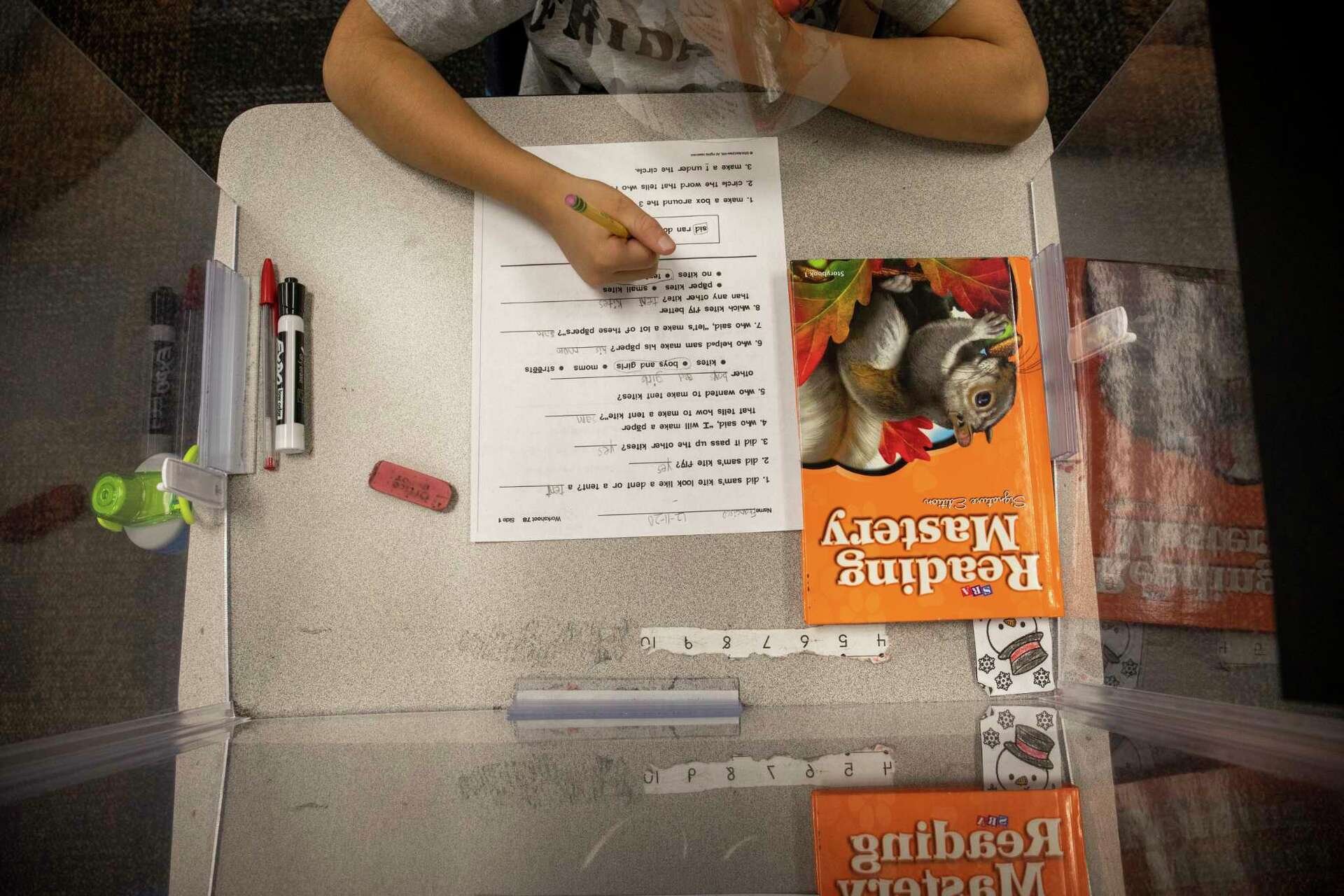 Reading Mastery