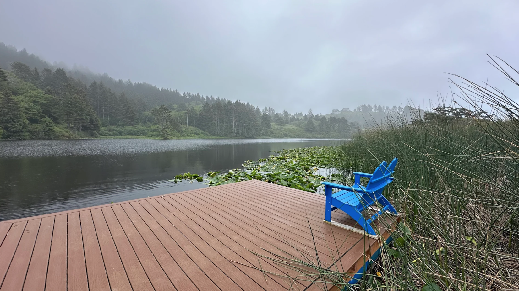 Screenshot 2026-04-05 at 12.02.06 PM.png