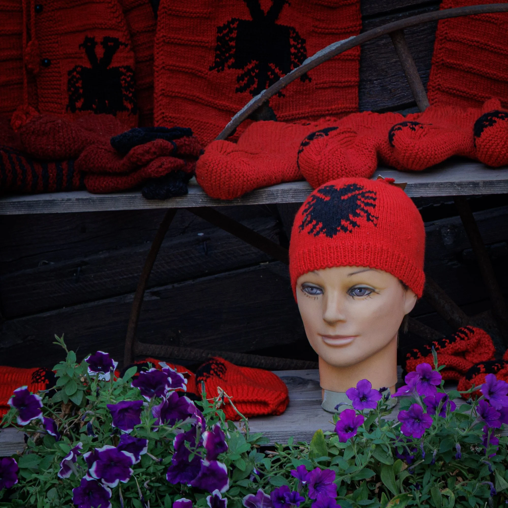 albania-tirana-face.jpg